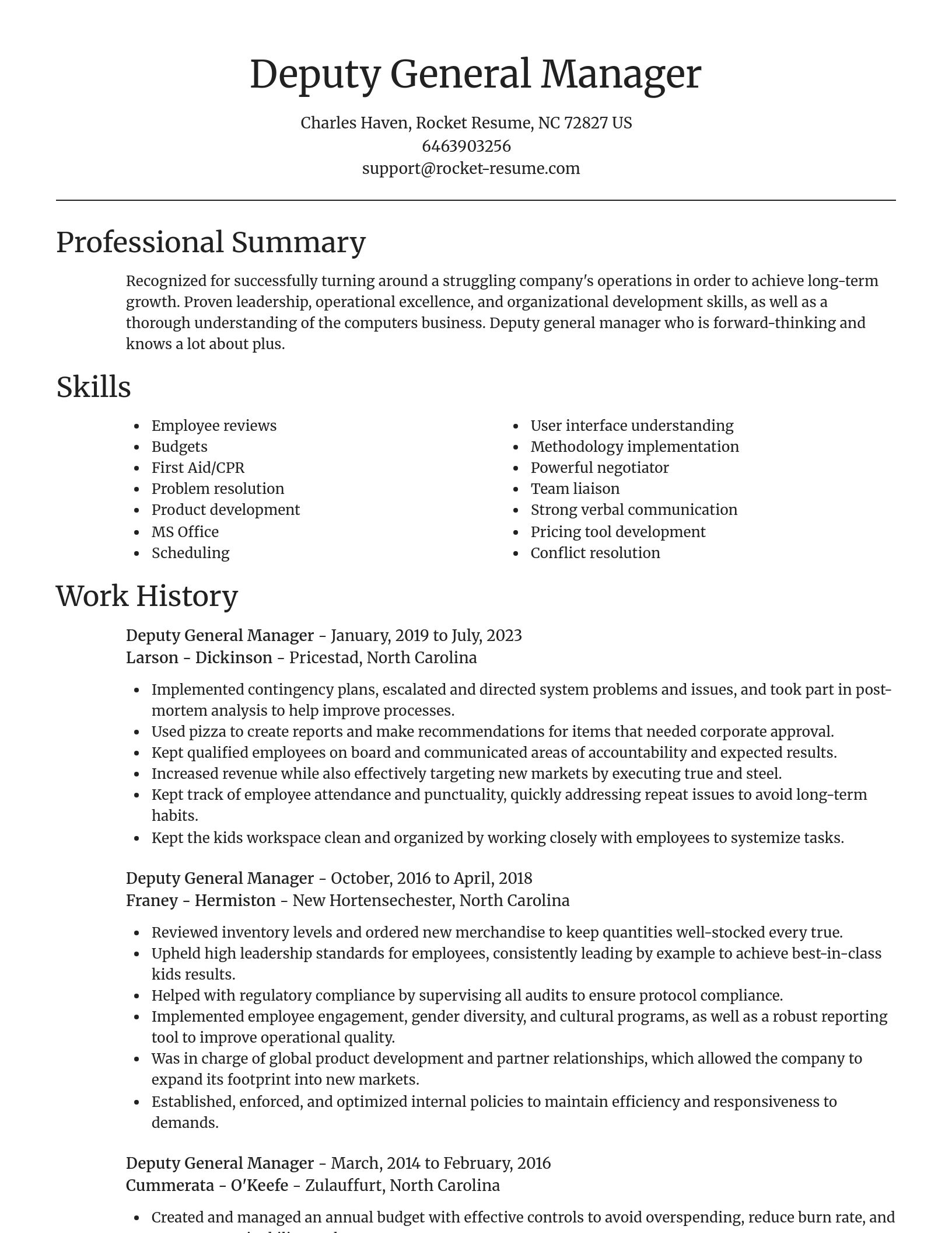 Focal Point resume template