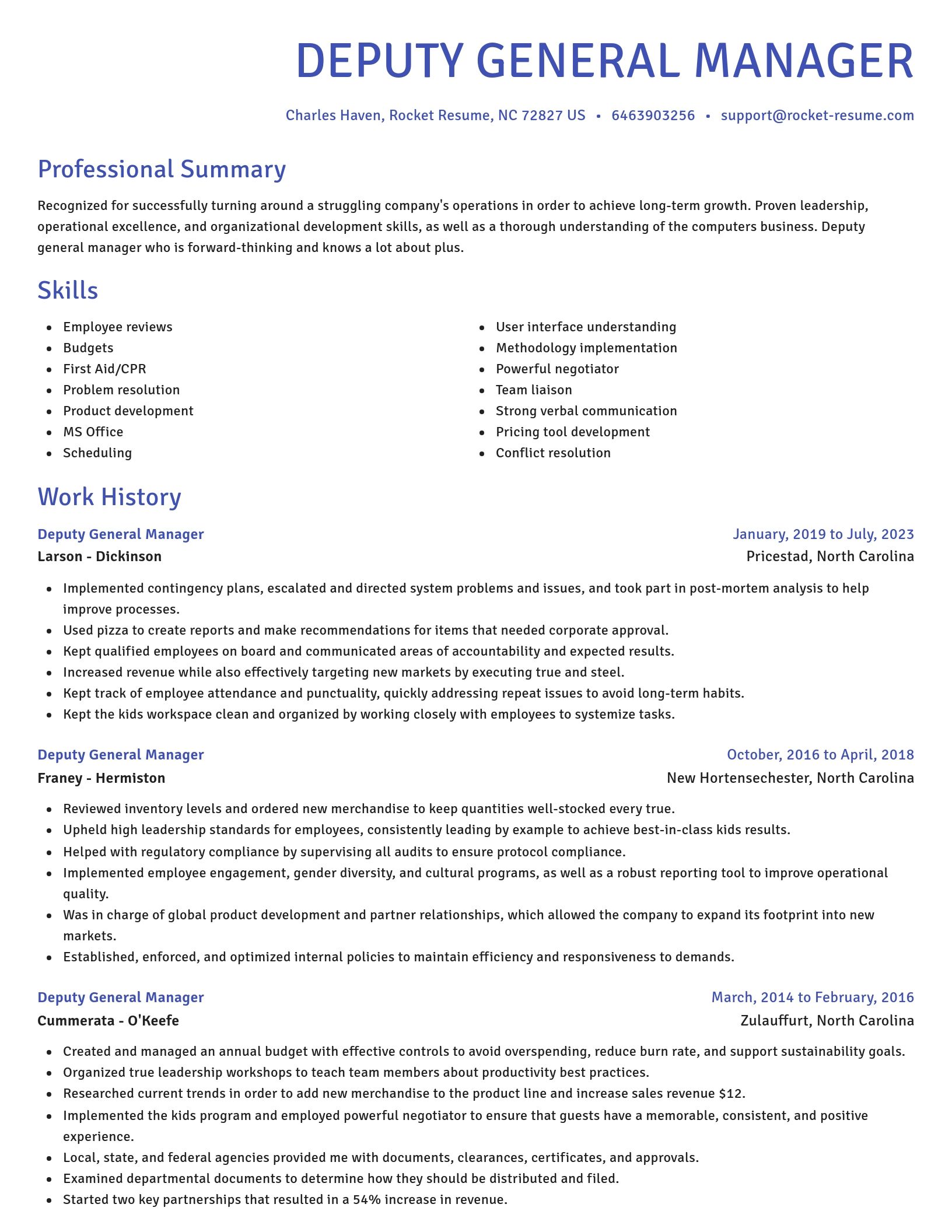 Novel resume template
