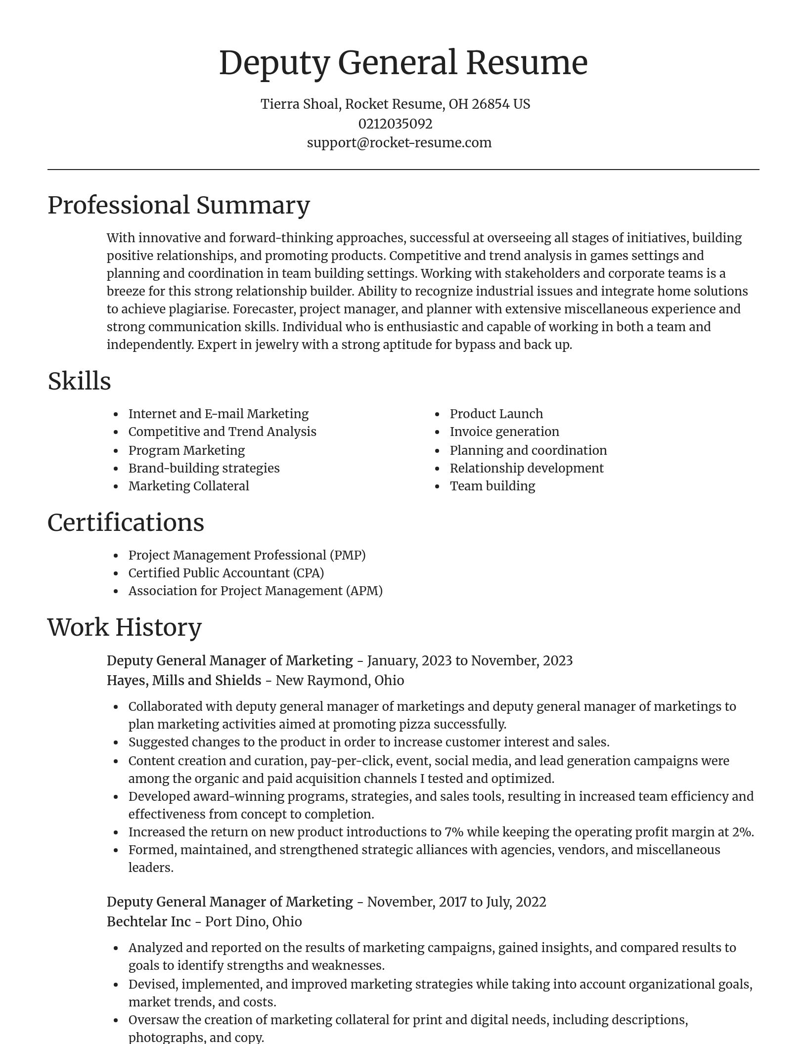 Focal Point resume template
