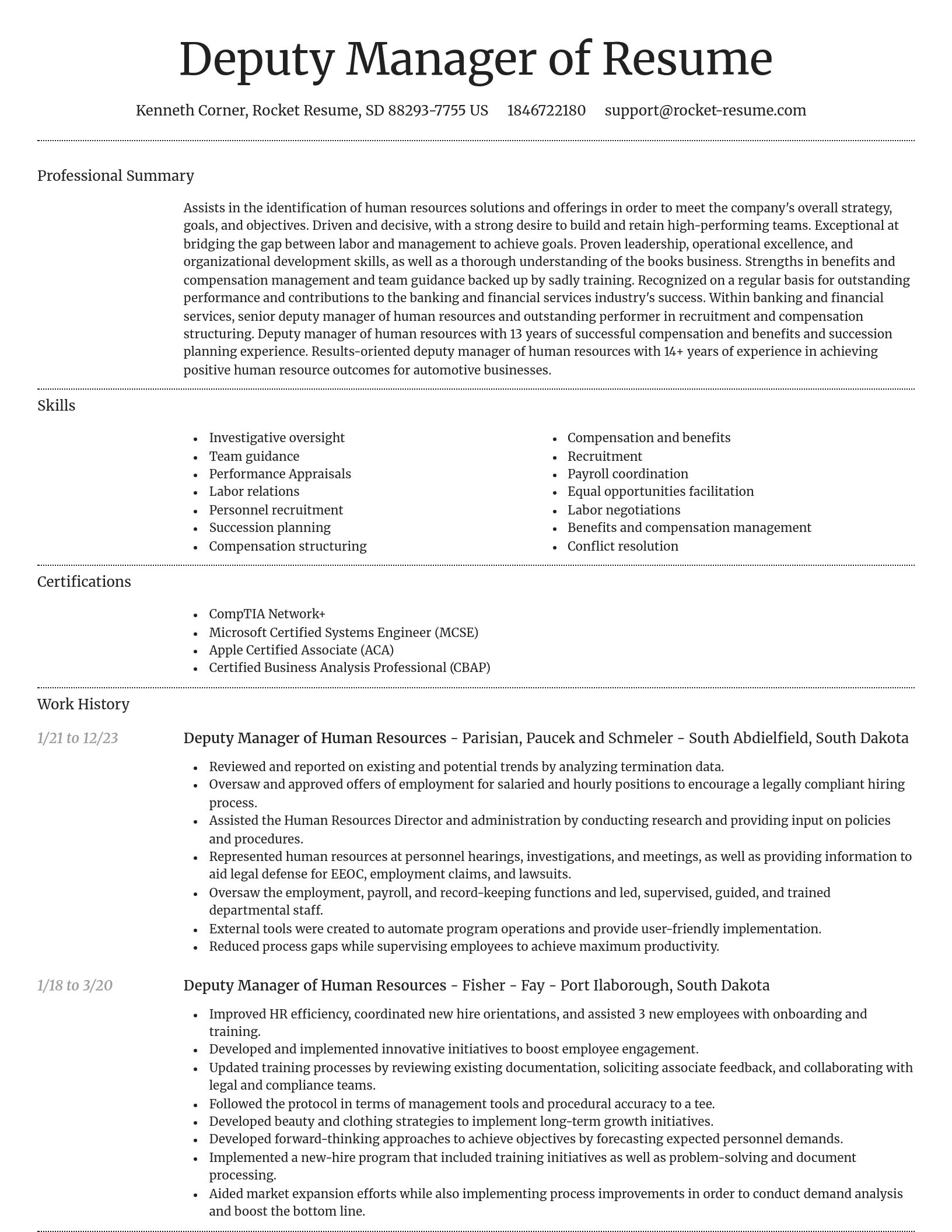Dignified resume template