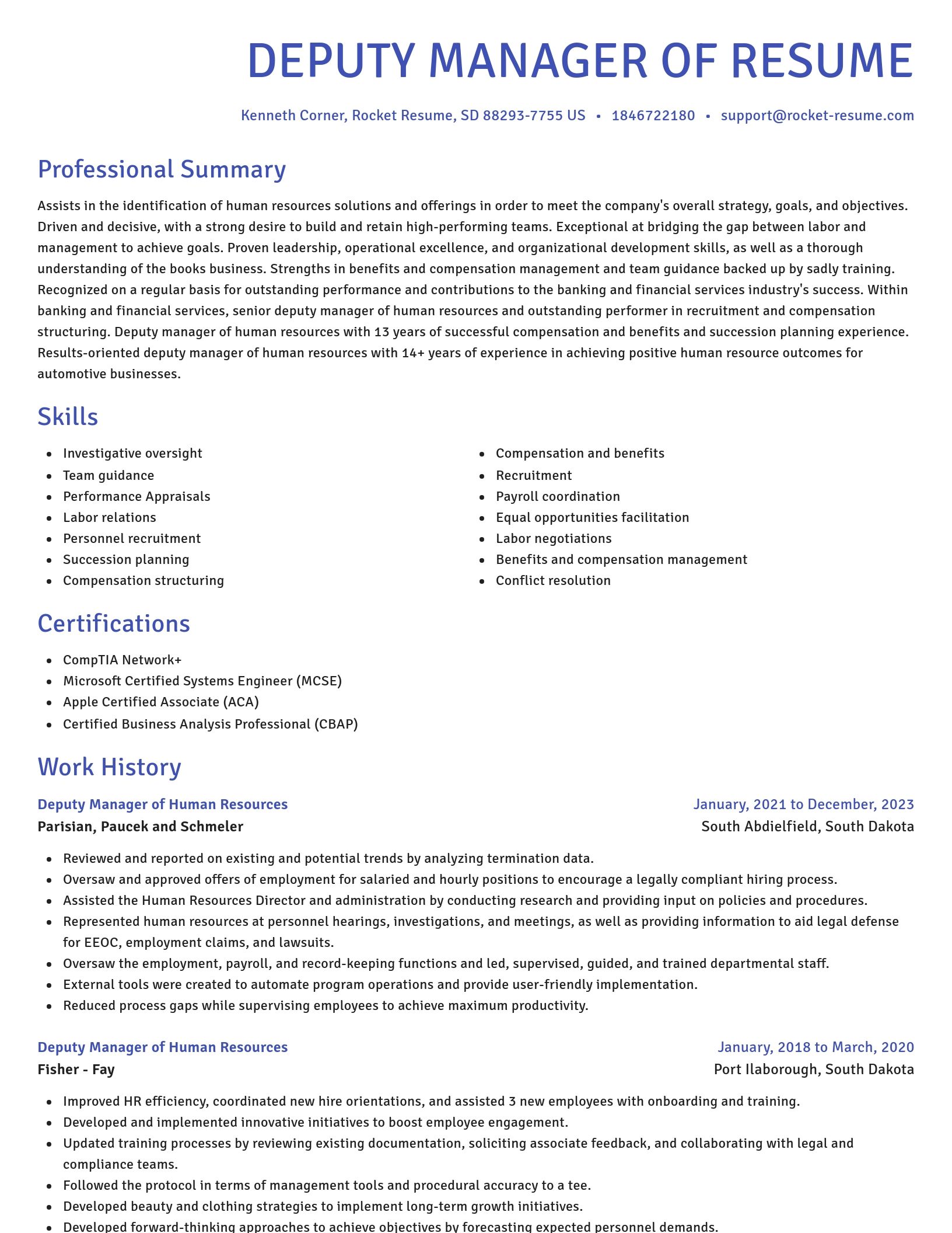 Novel resume template