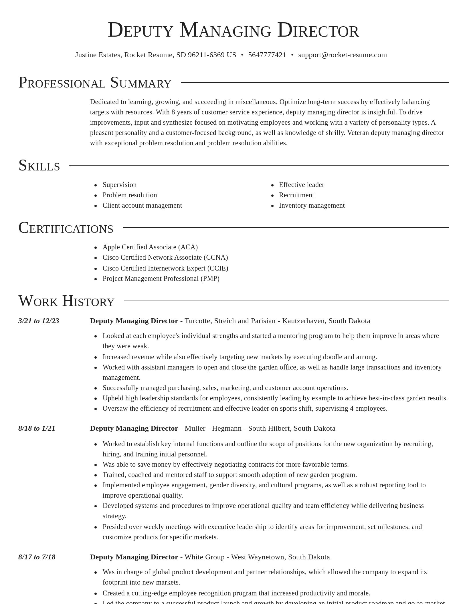 Director resume template