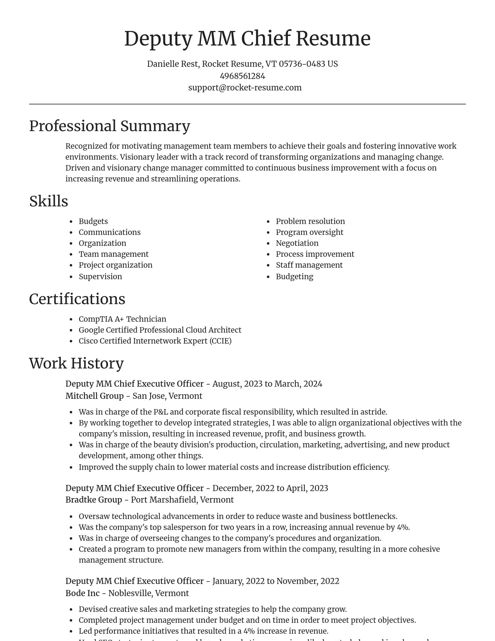 Focal Point resume template