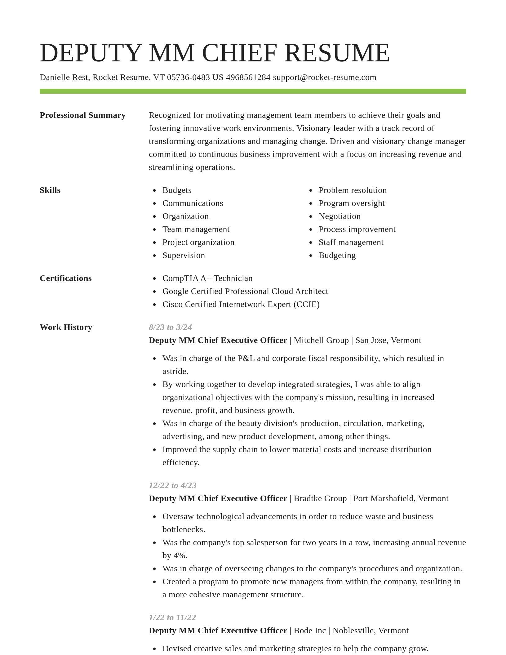 Smart resume template