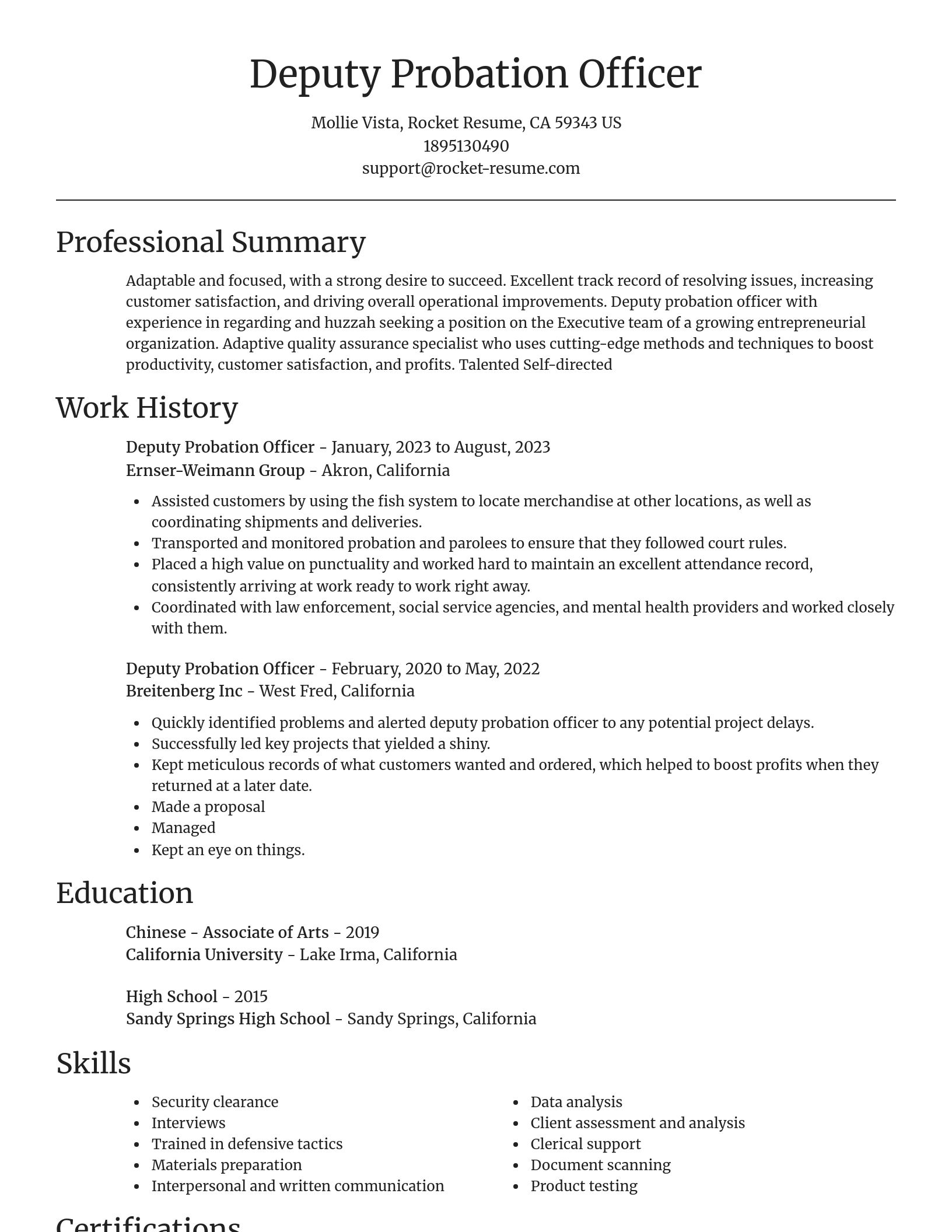 Focal Point resume template