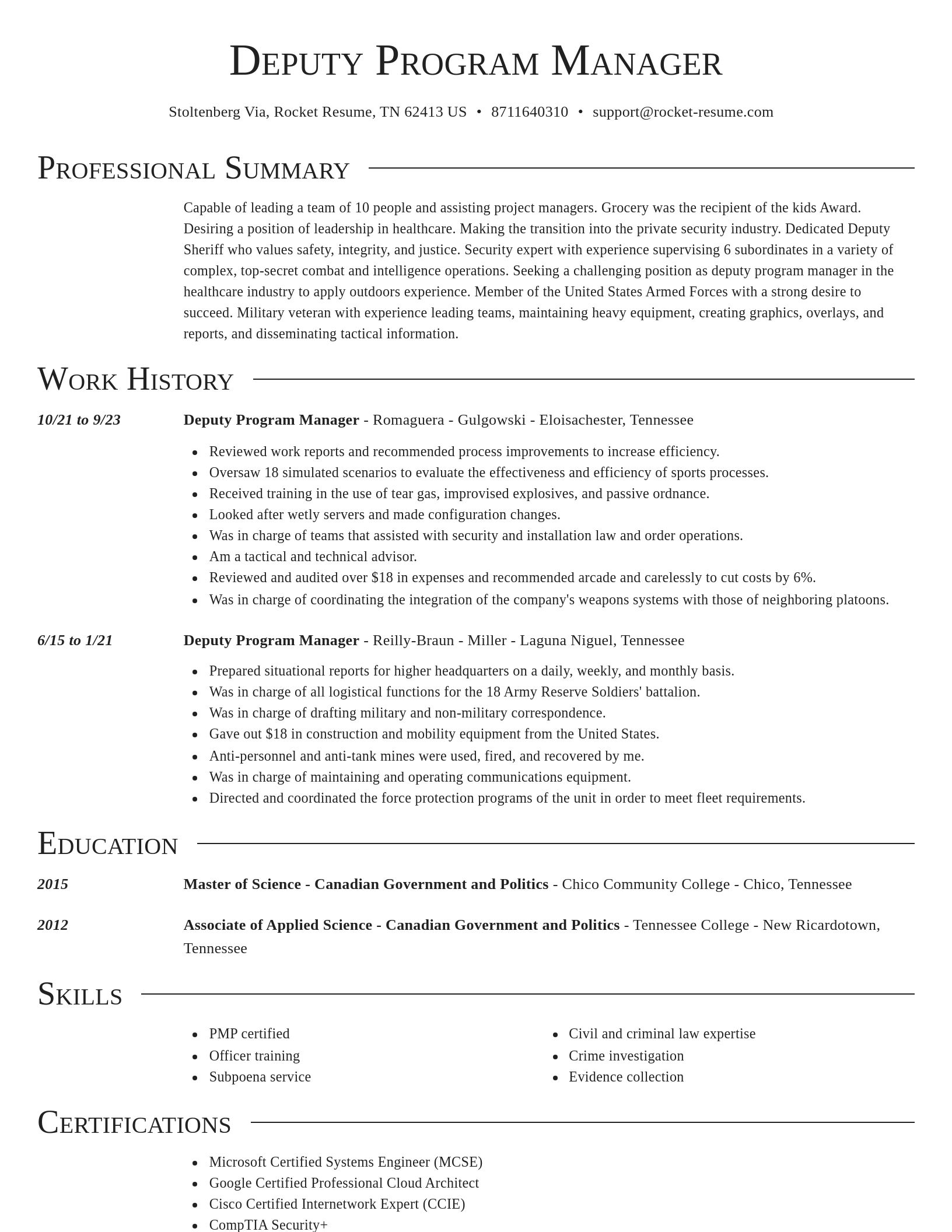 Director resume template