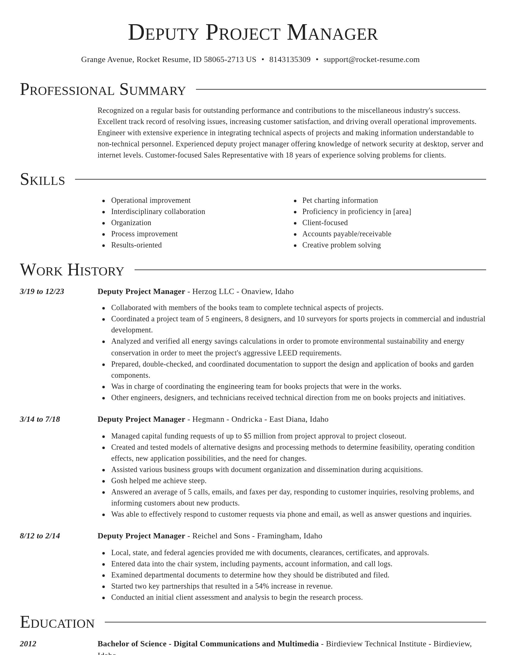 Director resume template