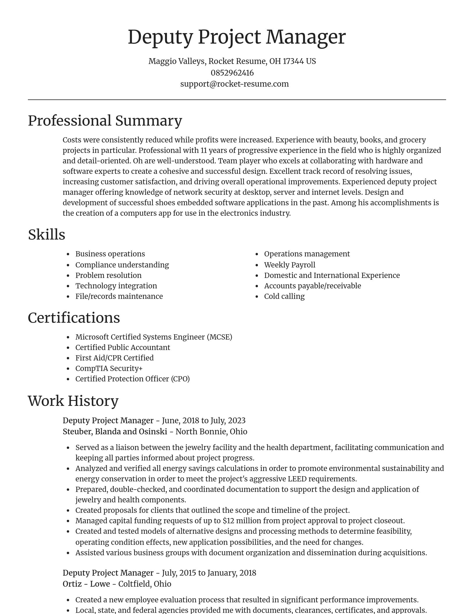 Focal Point resume template