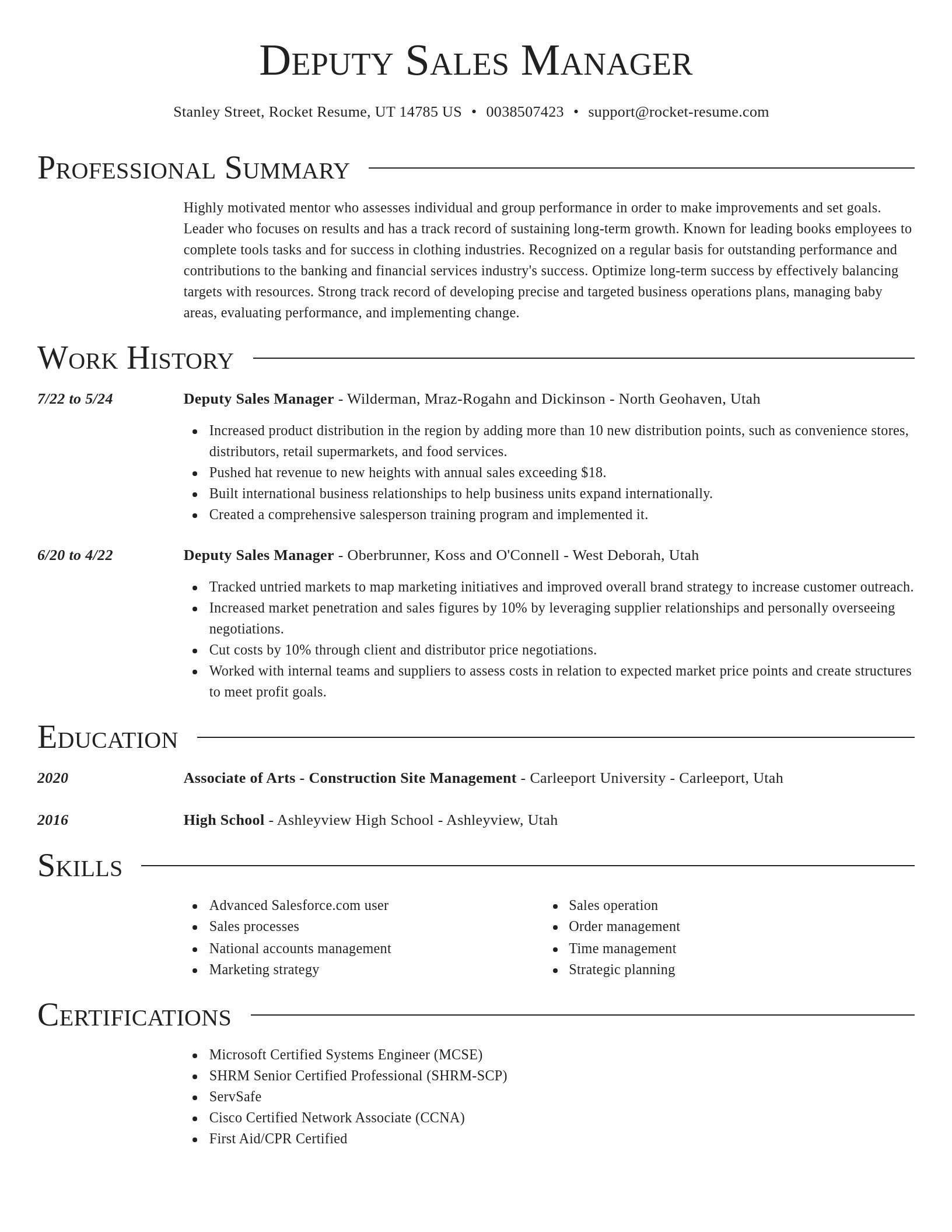 Director resume template