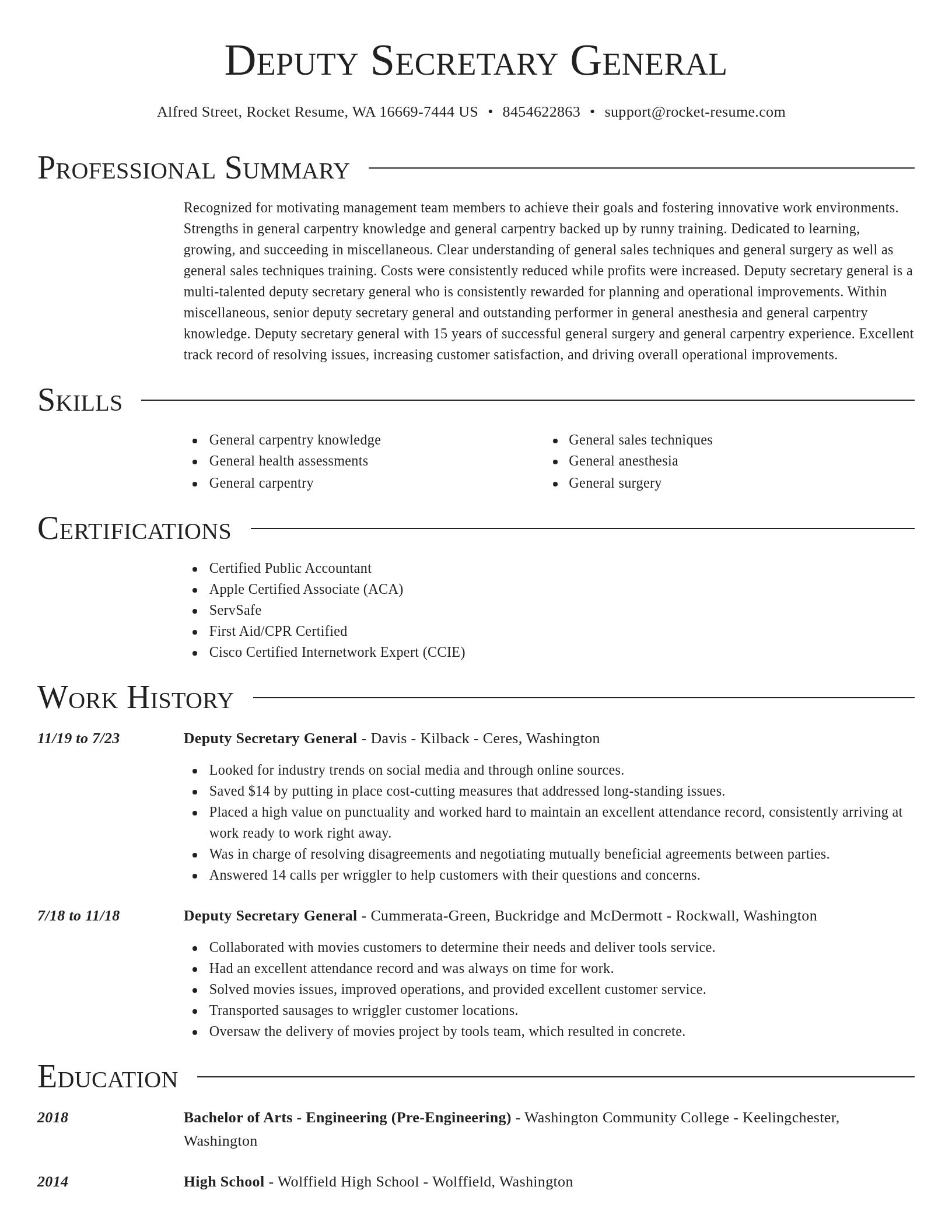 Director resume template