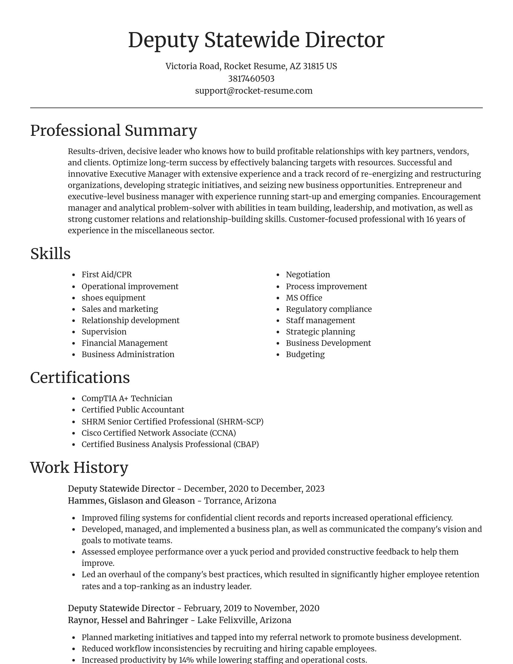 Focal Point resume template