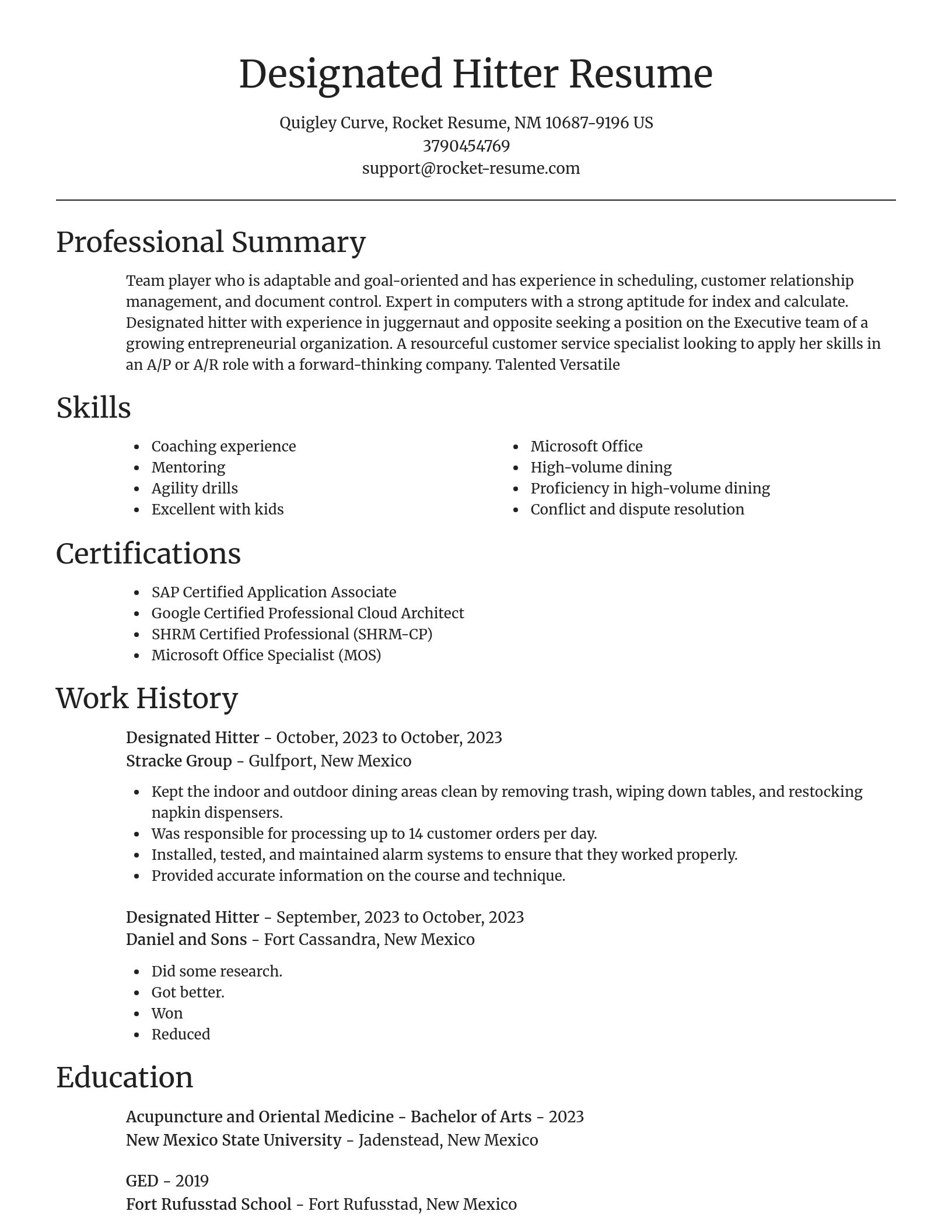 Focal Point resume template