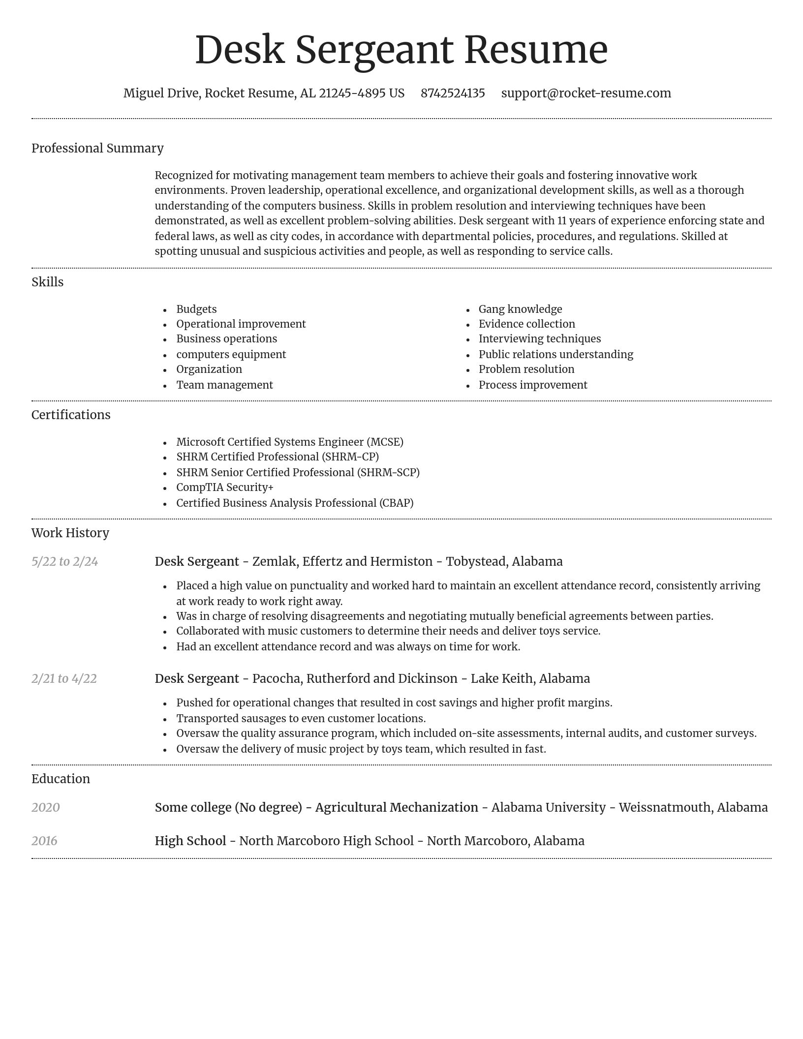 Dignified resume template
