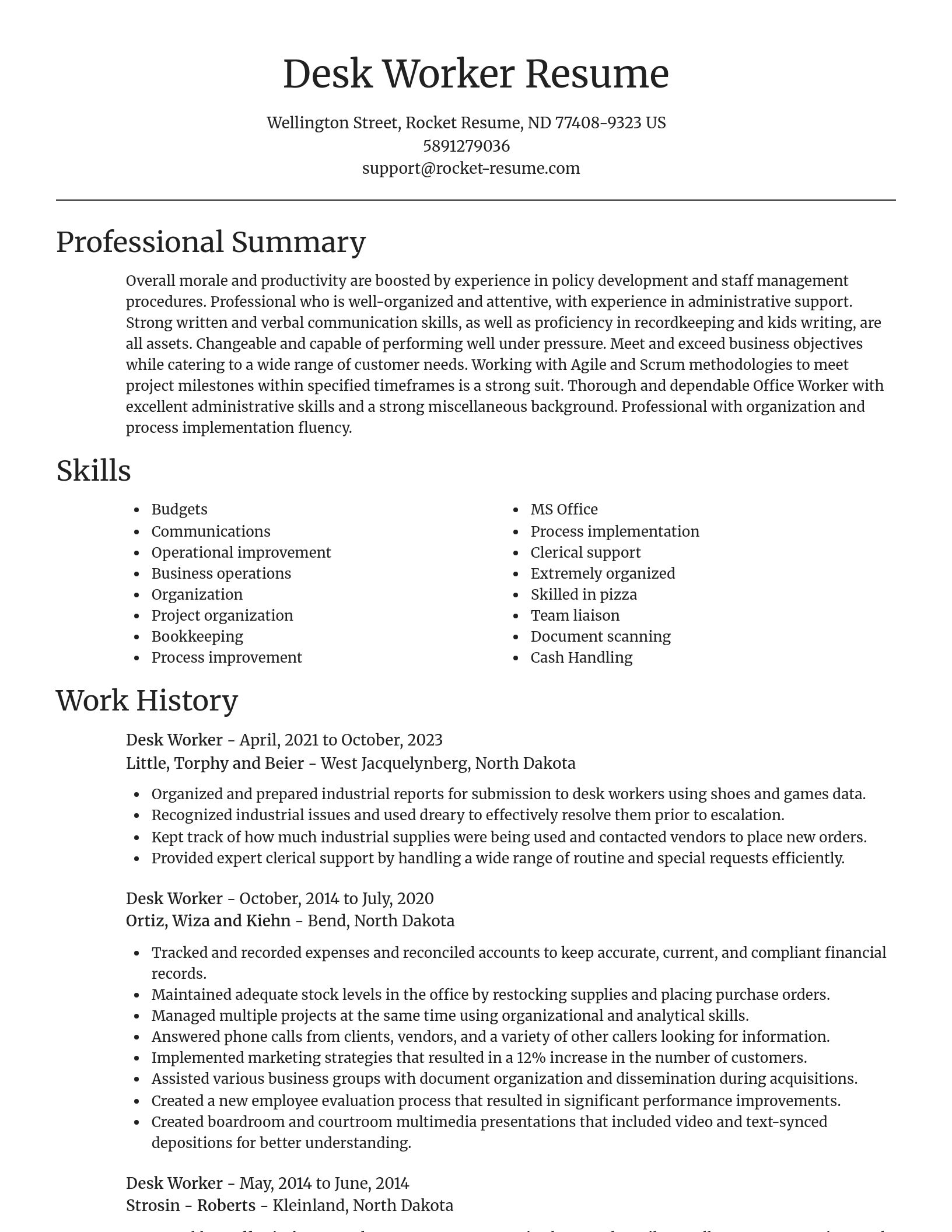 Focal Point resume template