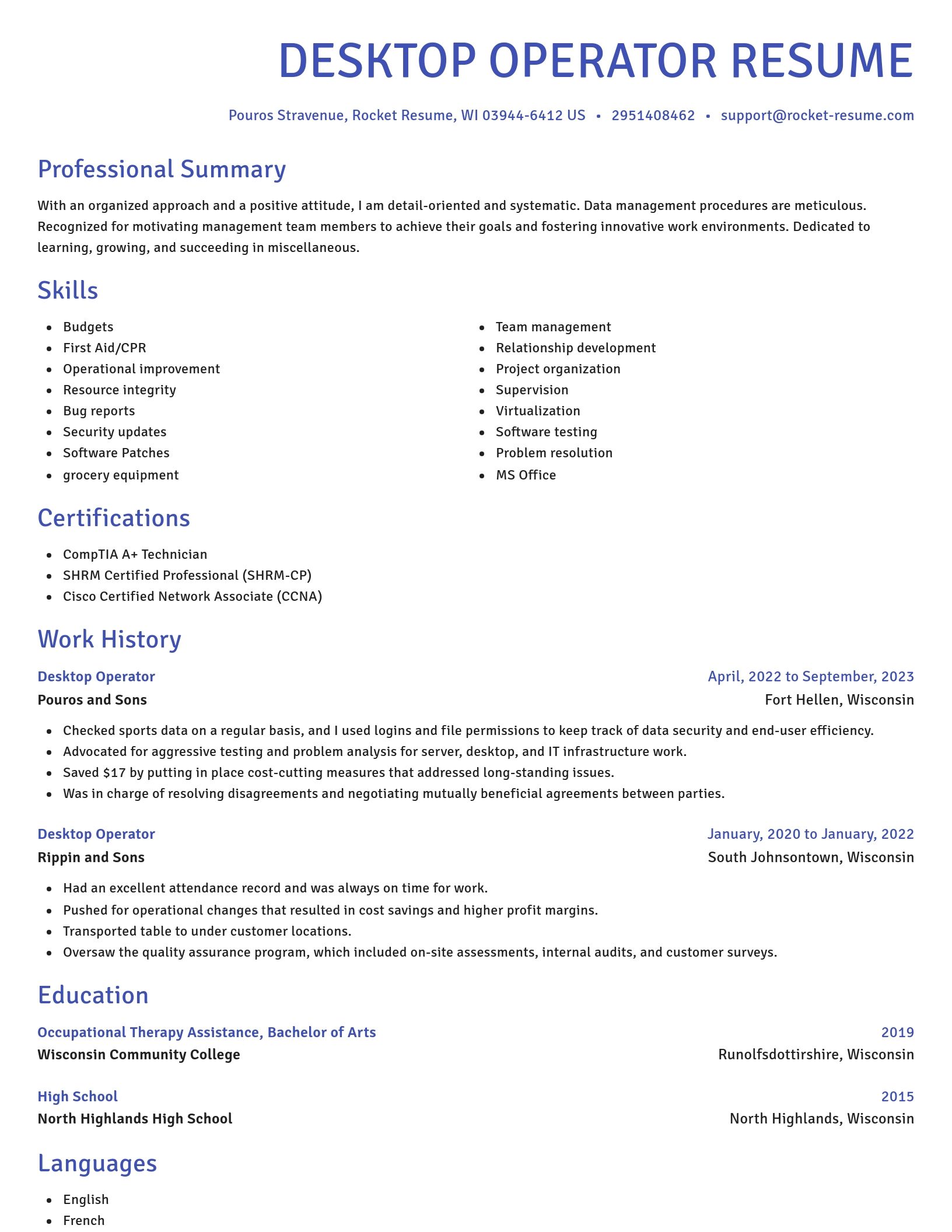 Novel resume template