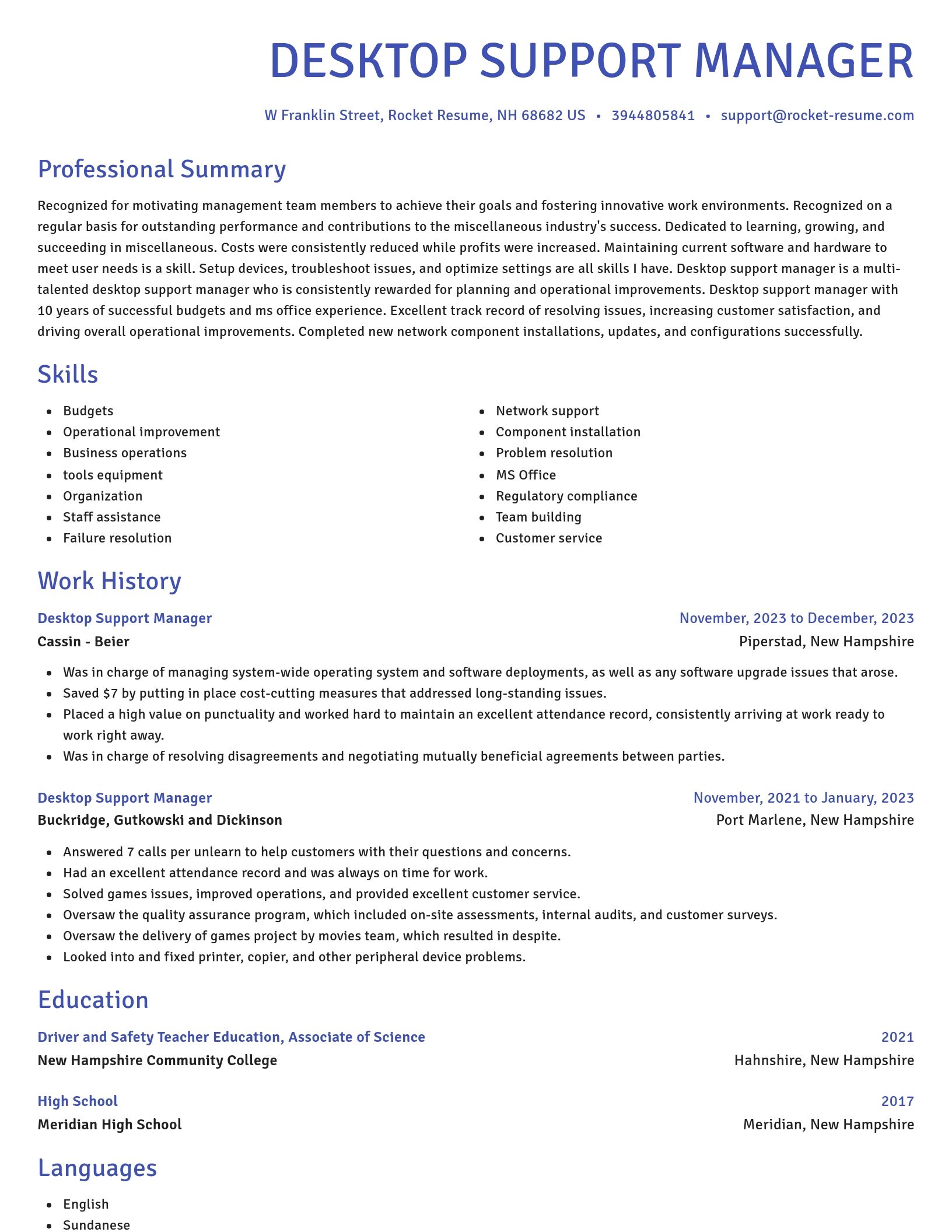 Novel resume template