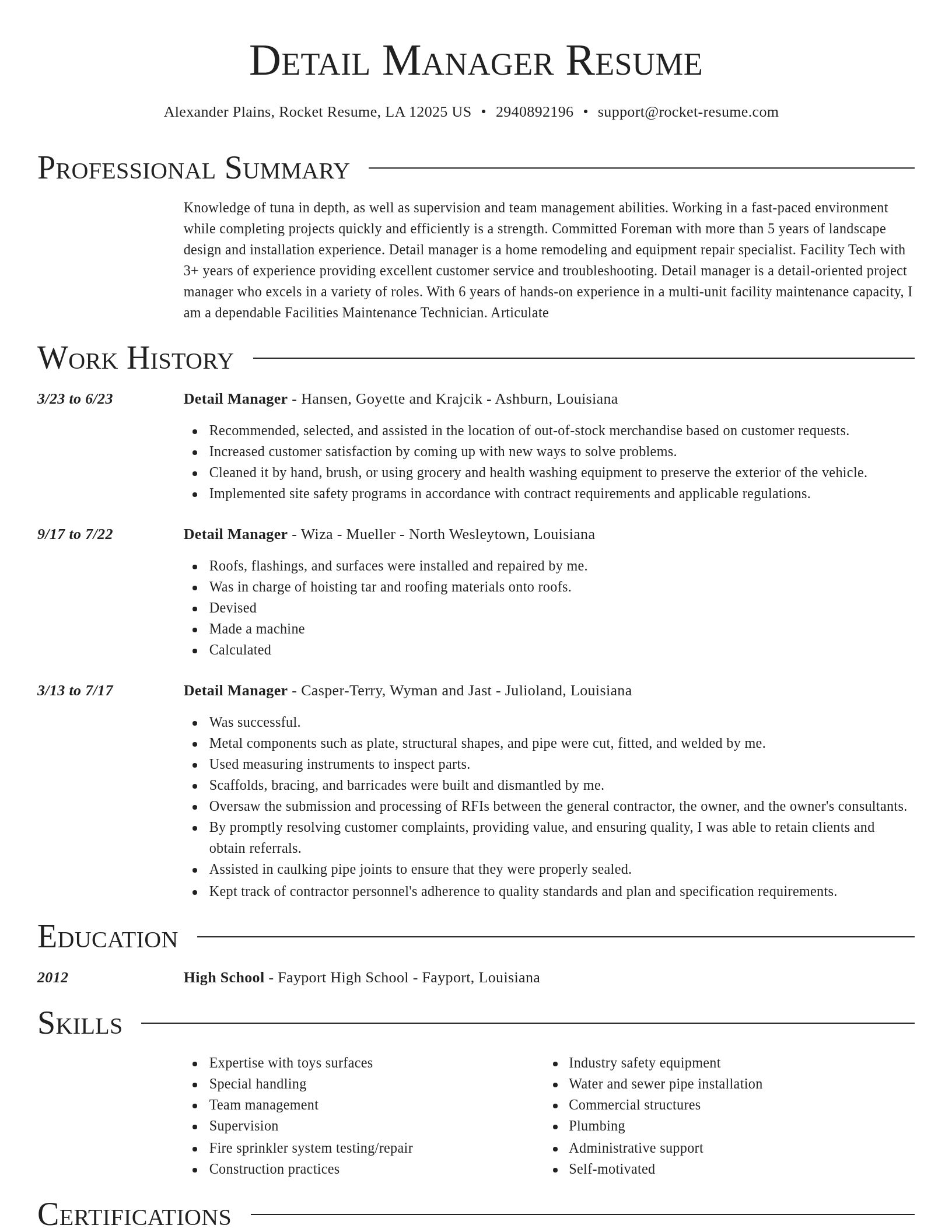 Director resume template