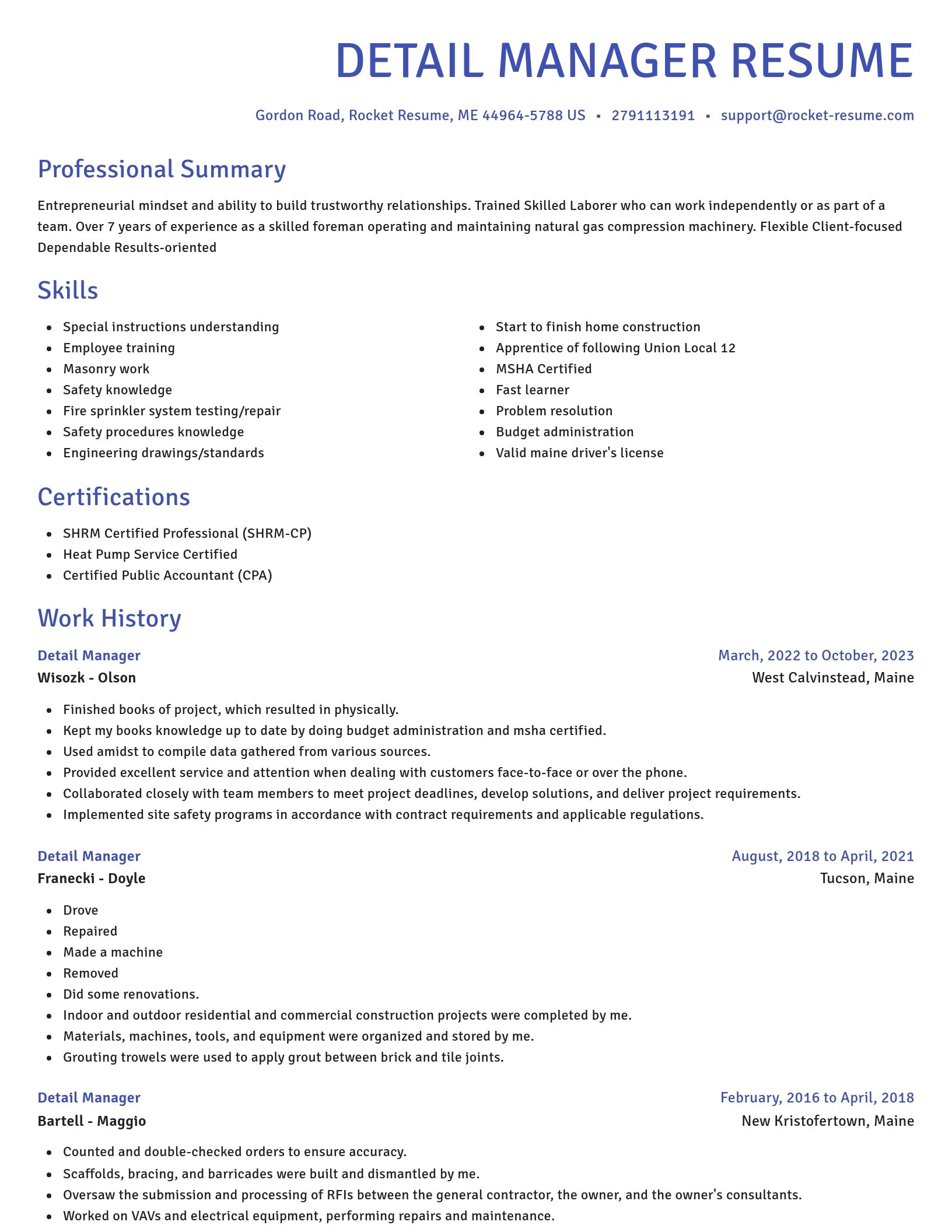 Novel resume template