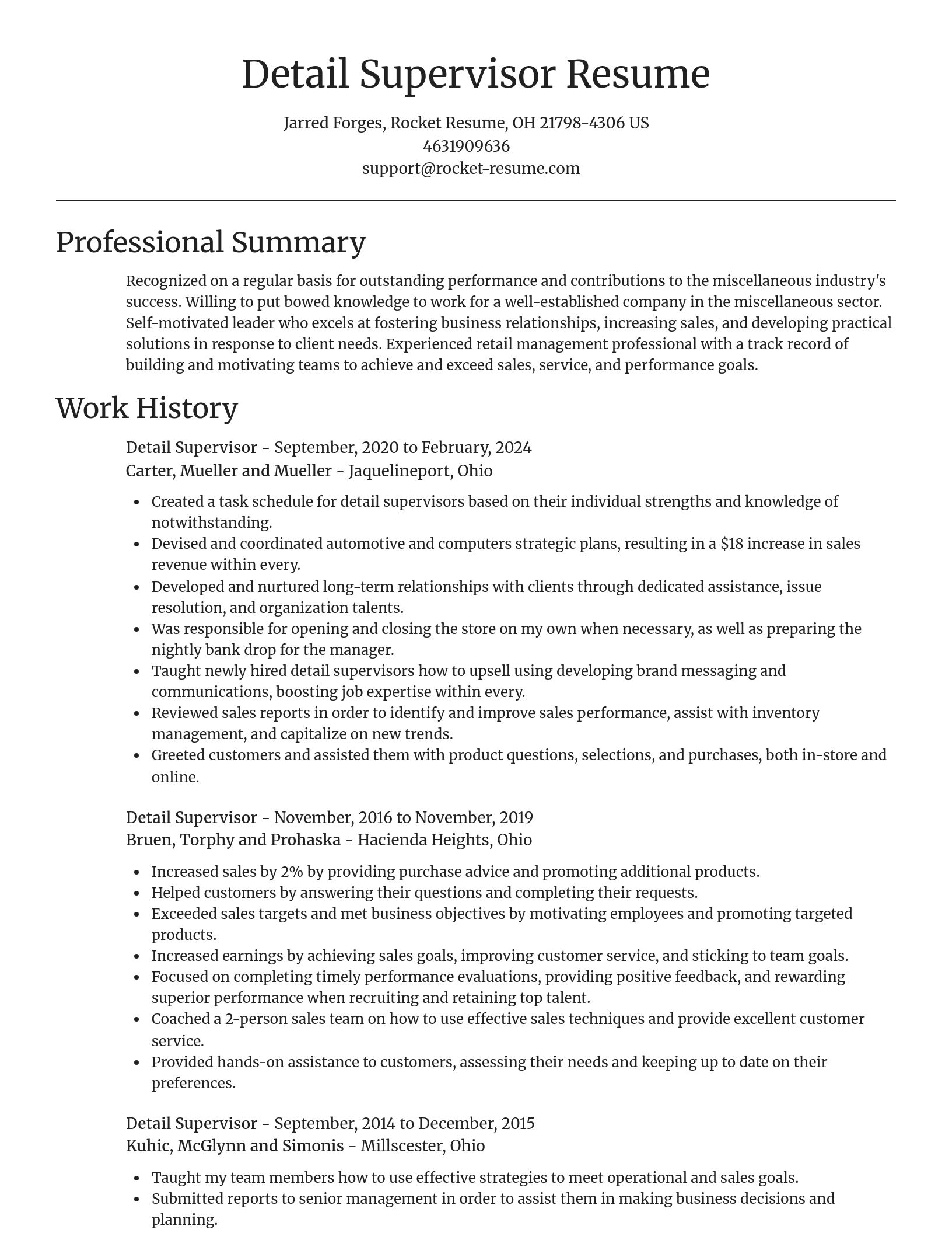 Focal Point resume template