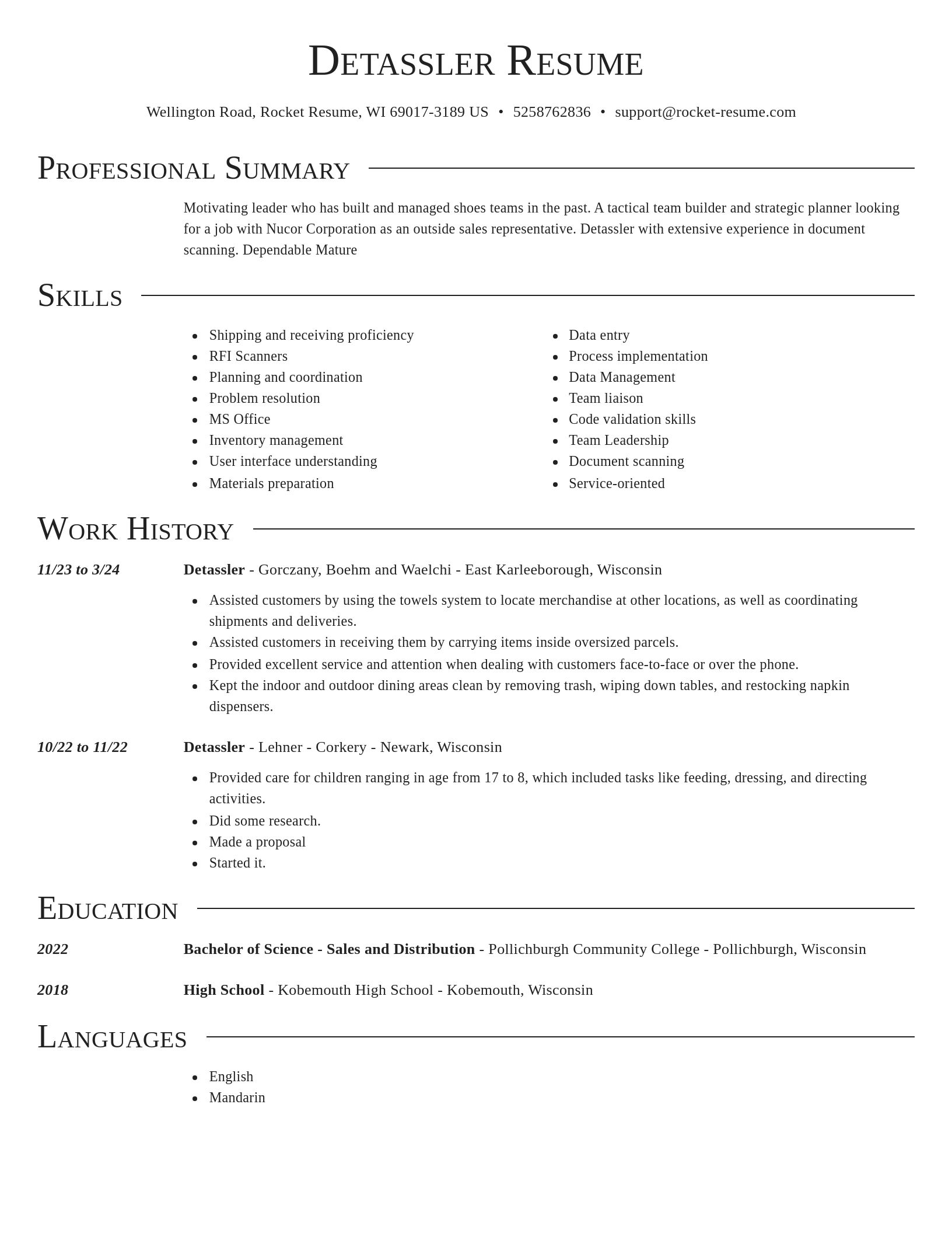 Director resume template