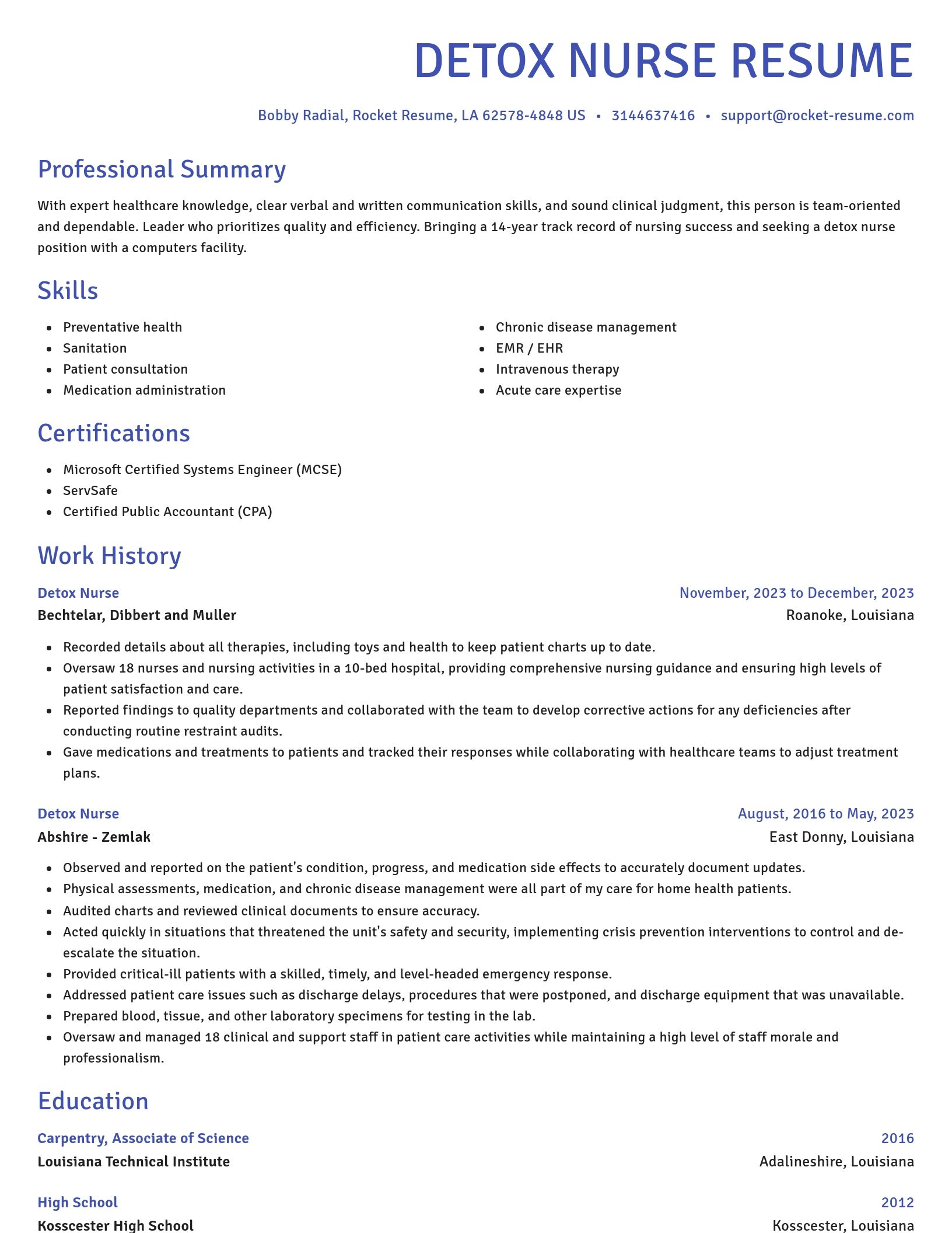 Novel resume template