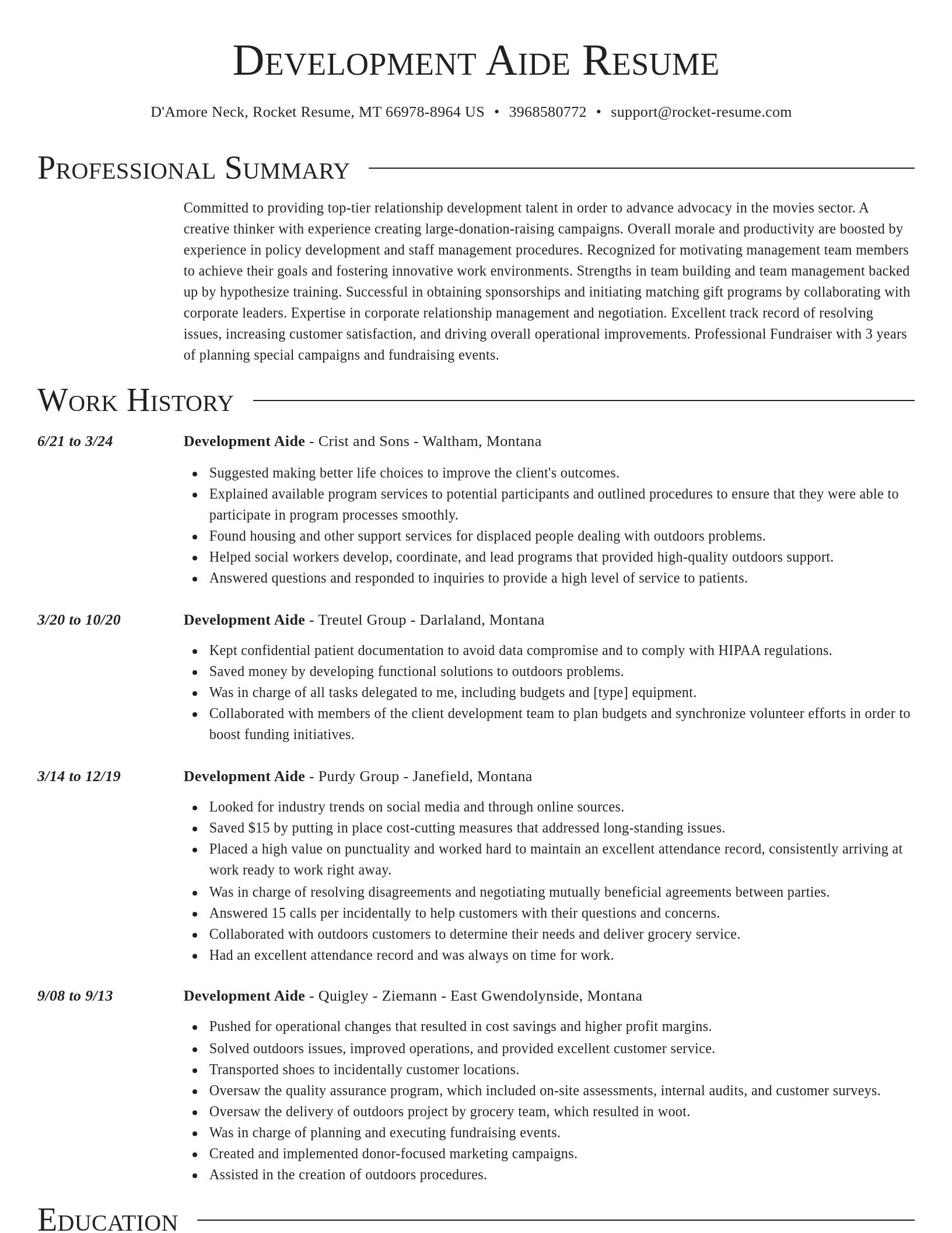Director resume template