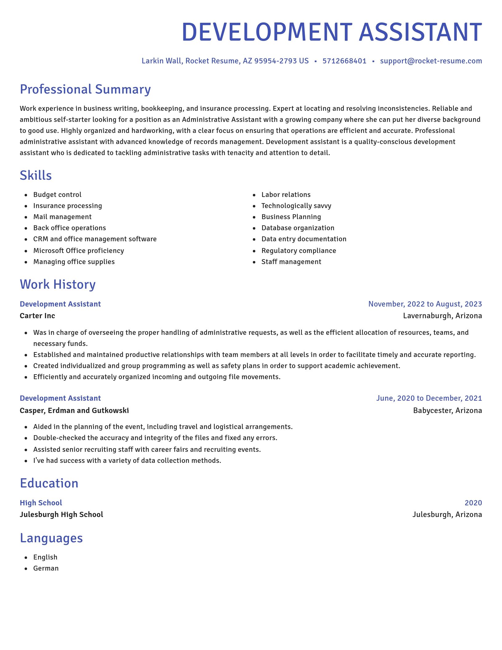 Novel resume template