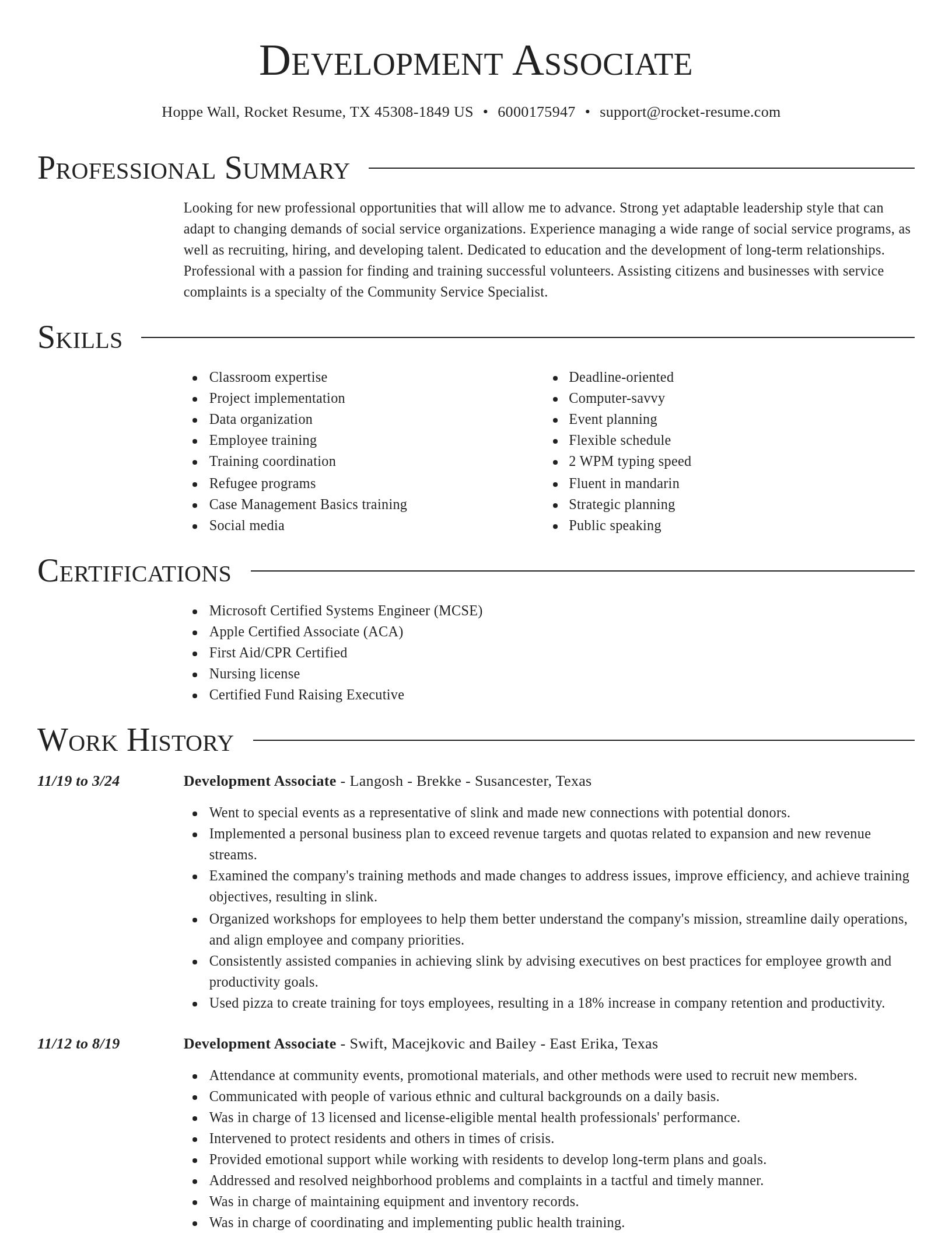 Director resume template
