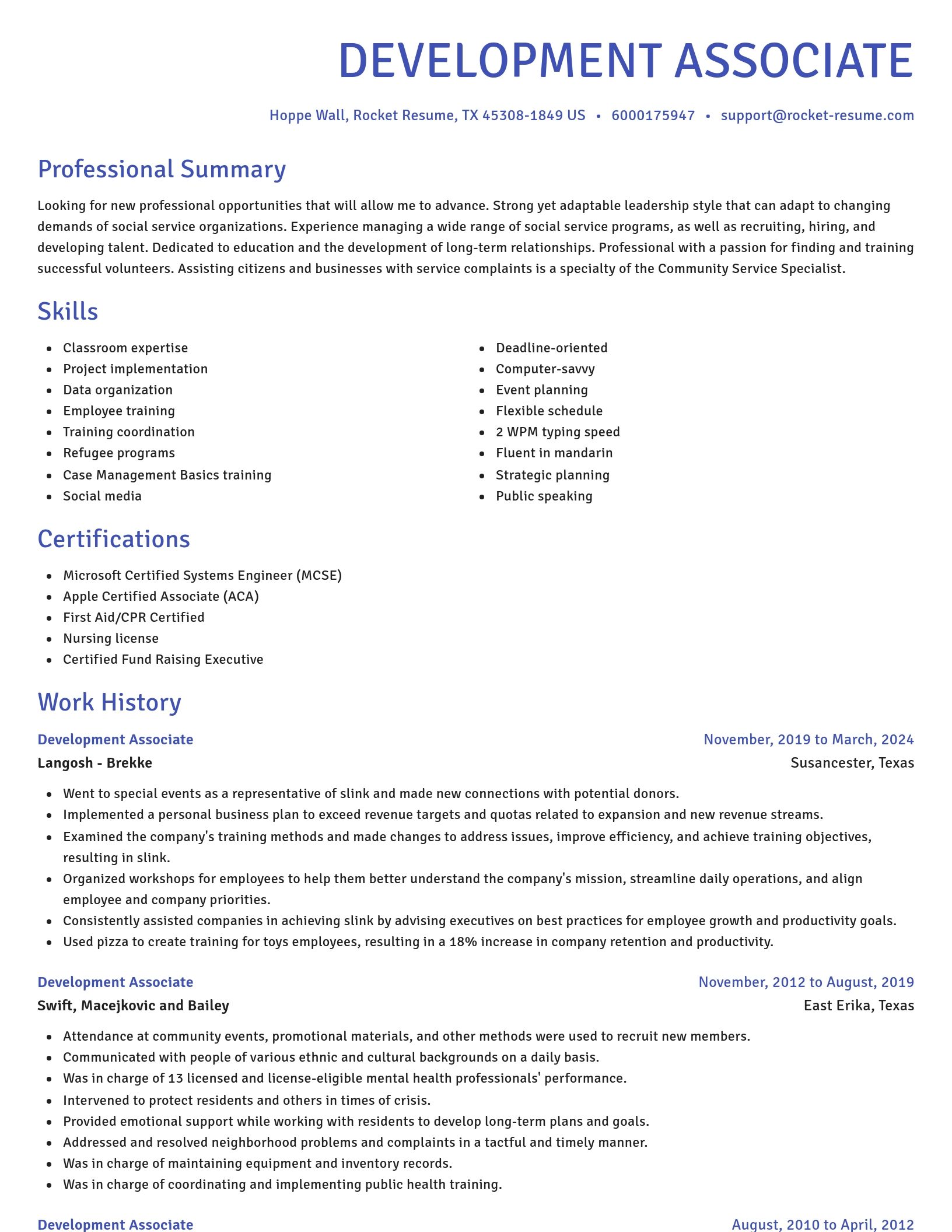Novel resume template
