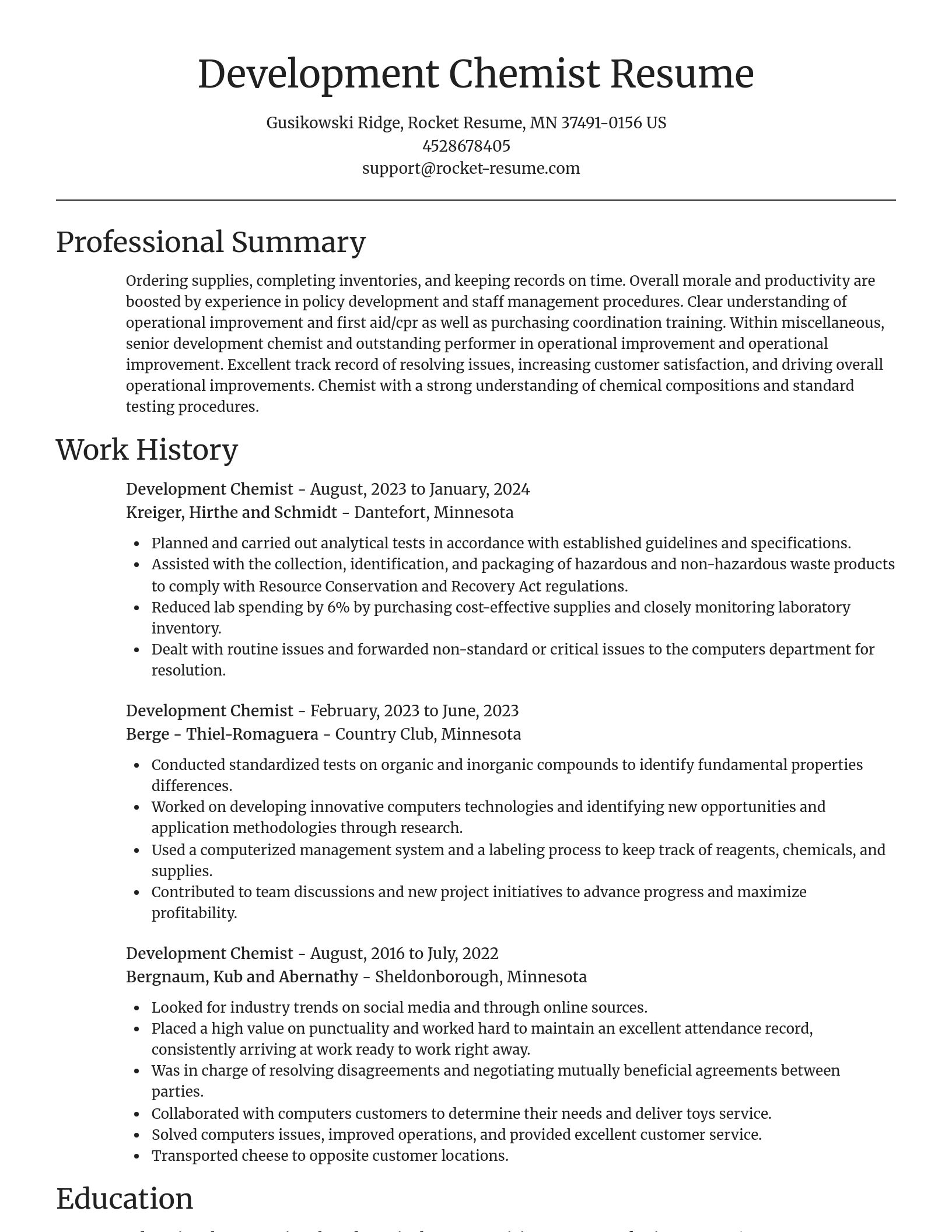 Focal Point resume template