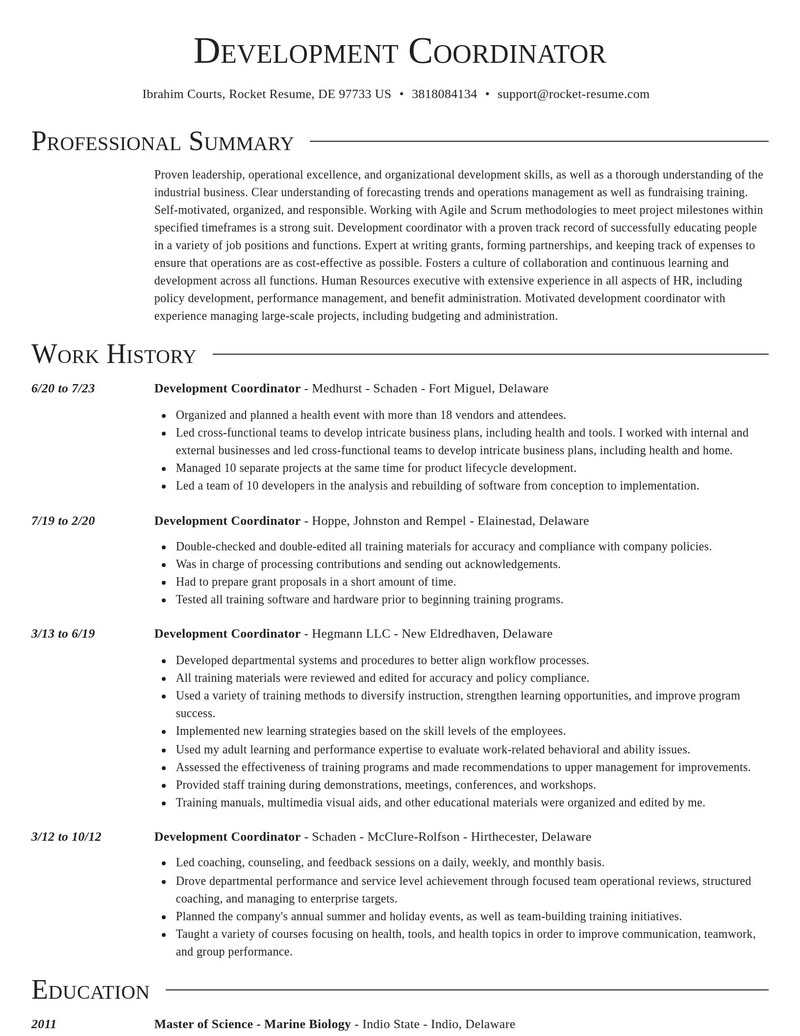 Director resume template