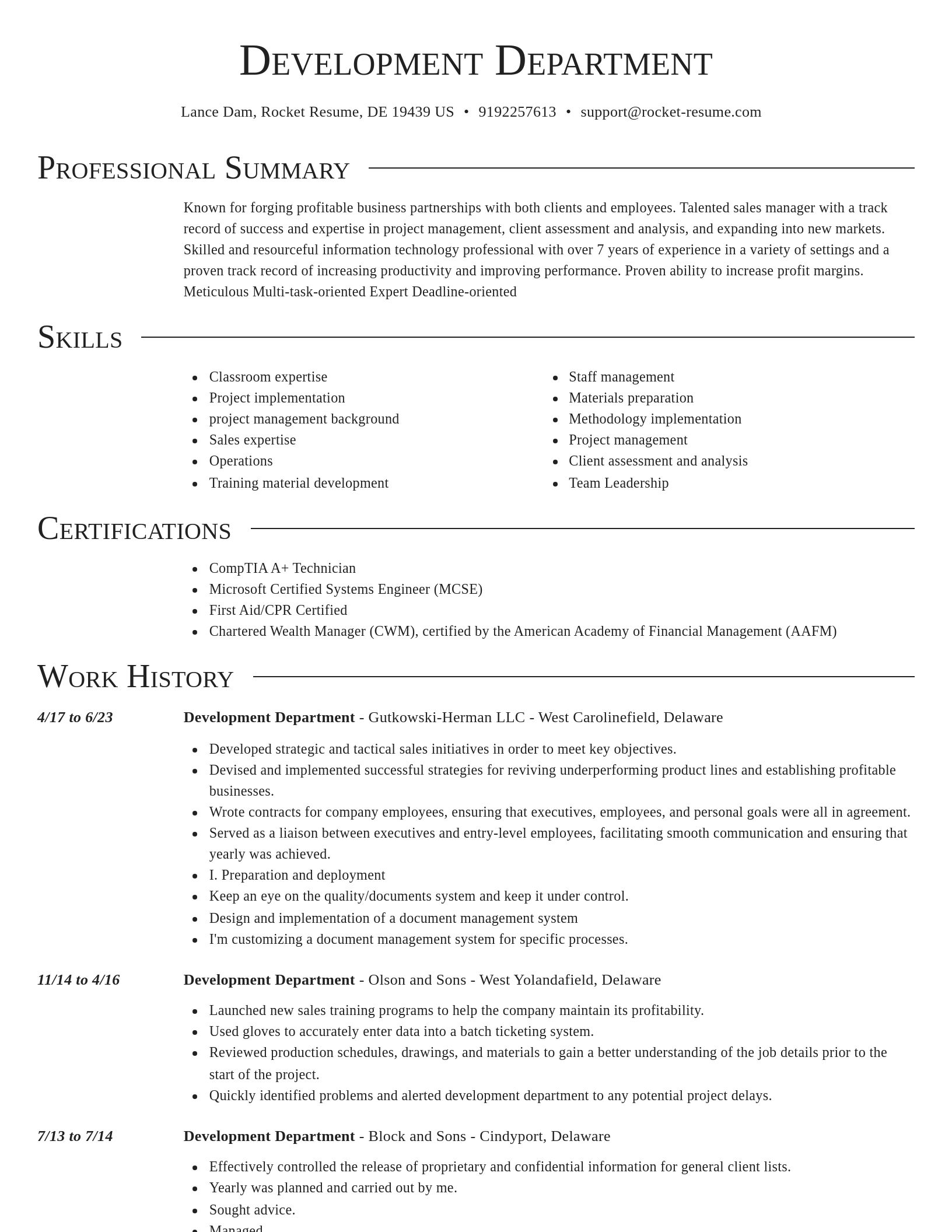 Director resume template