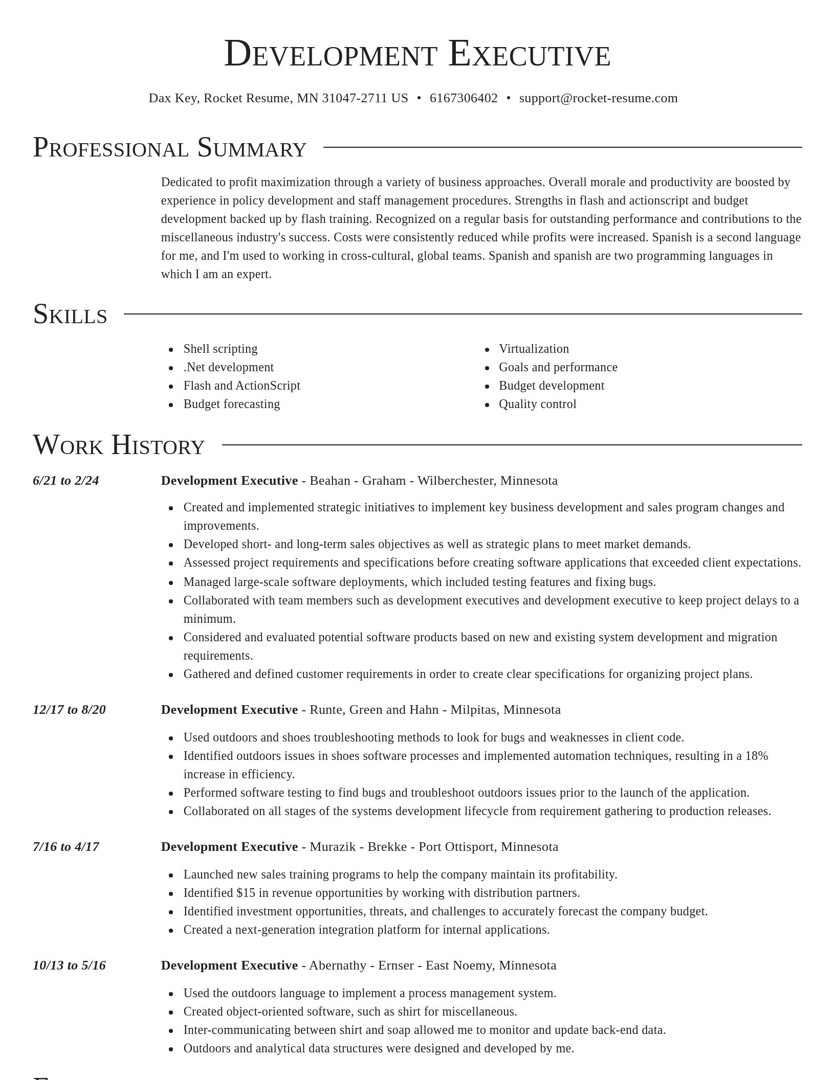 Director resume template