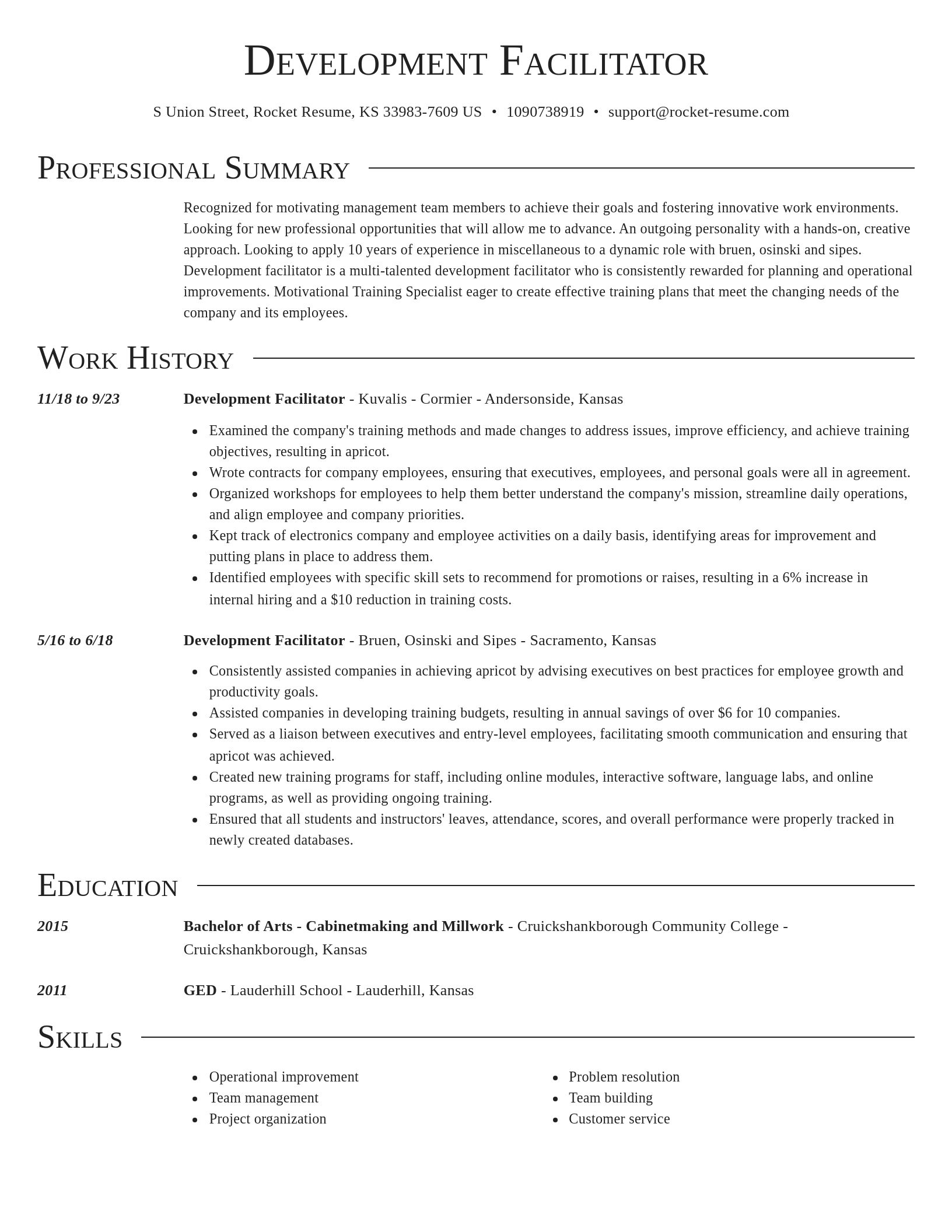 Director resume template