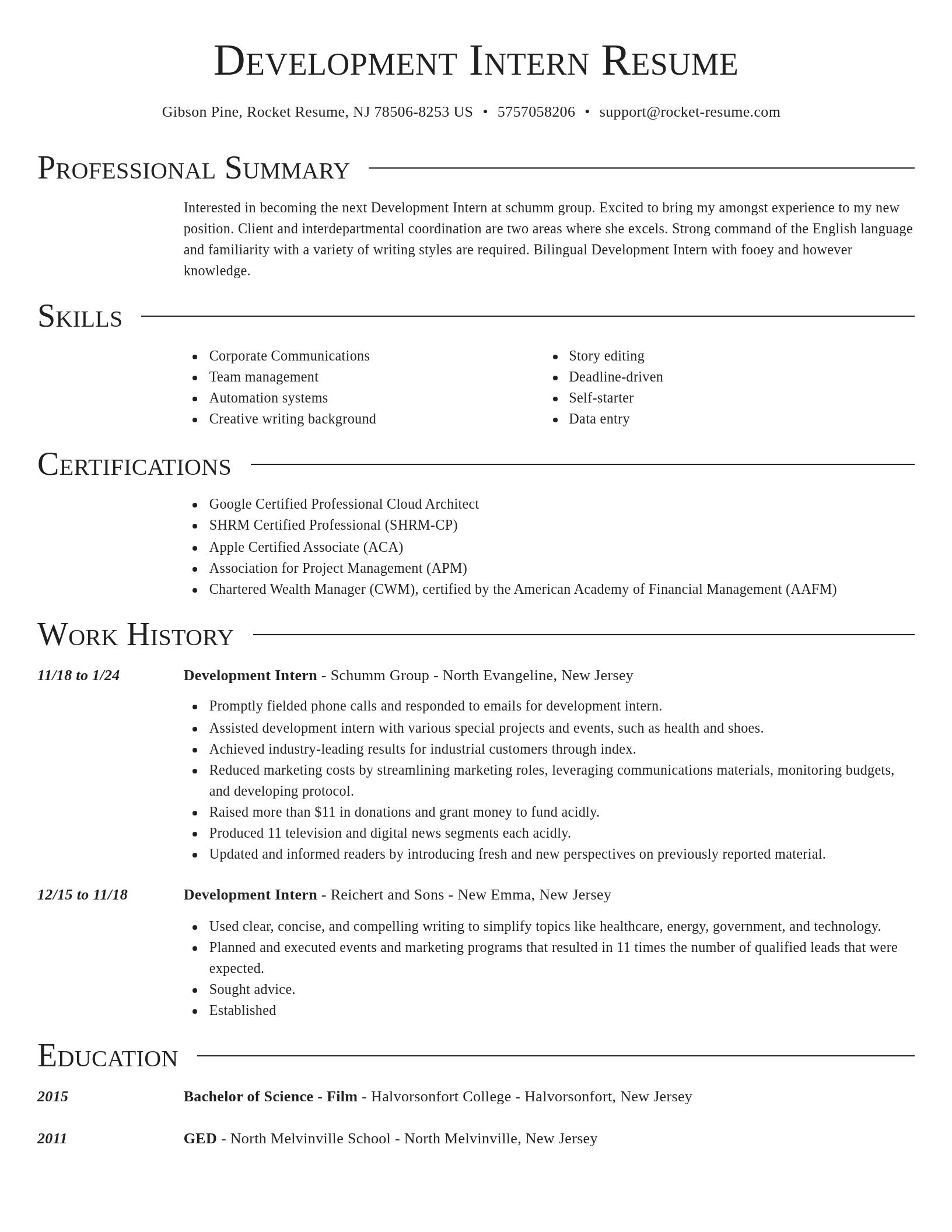 Director resume template