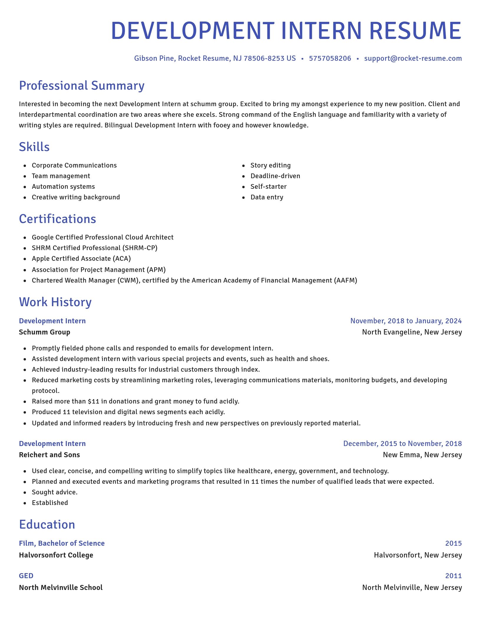 Novel resume template