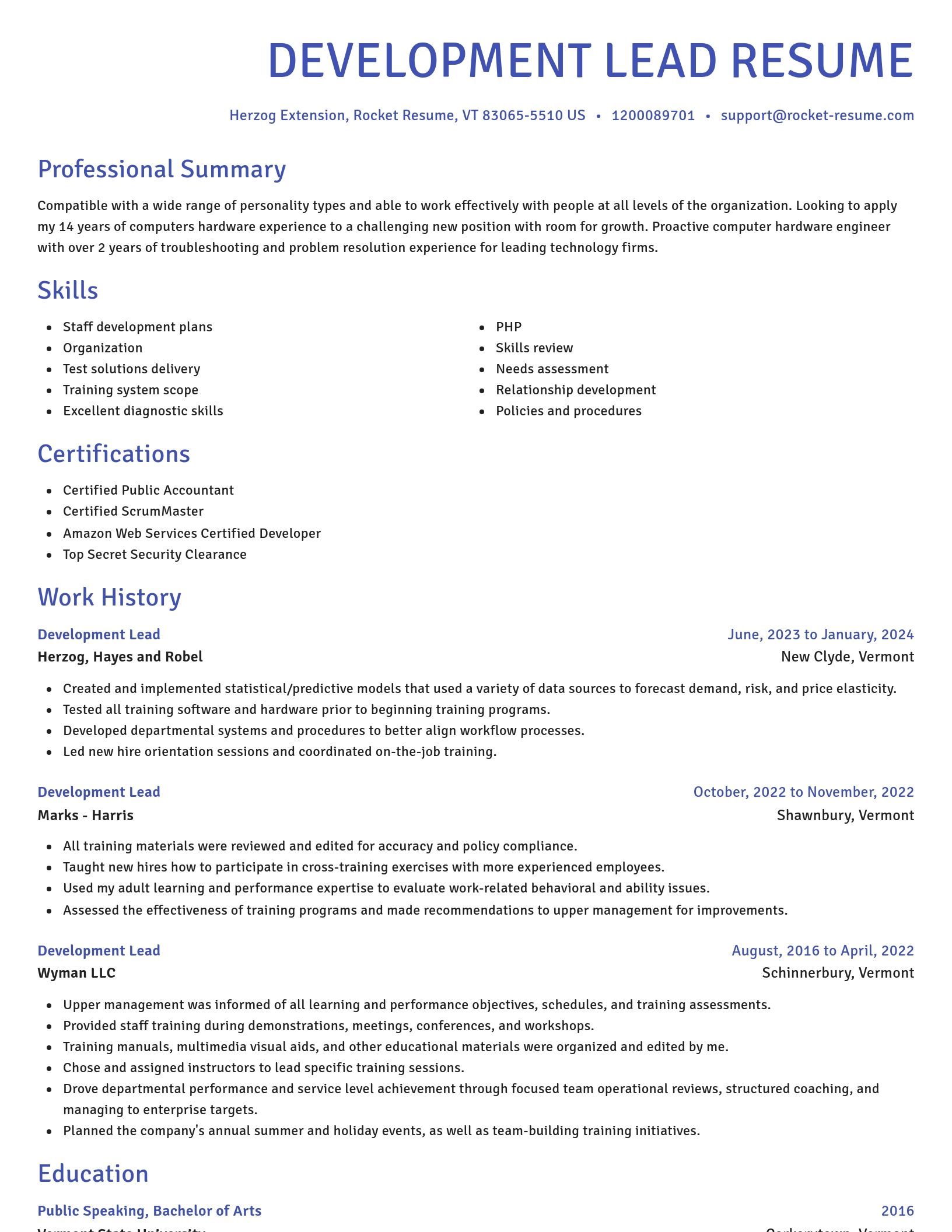 Novel resume template