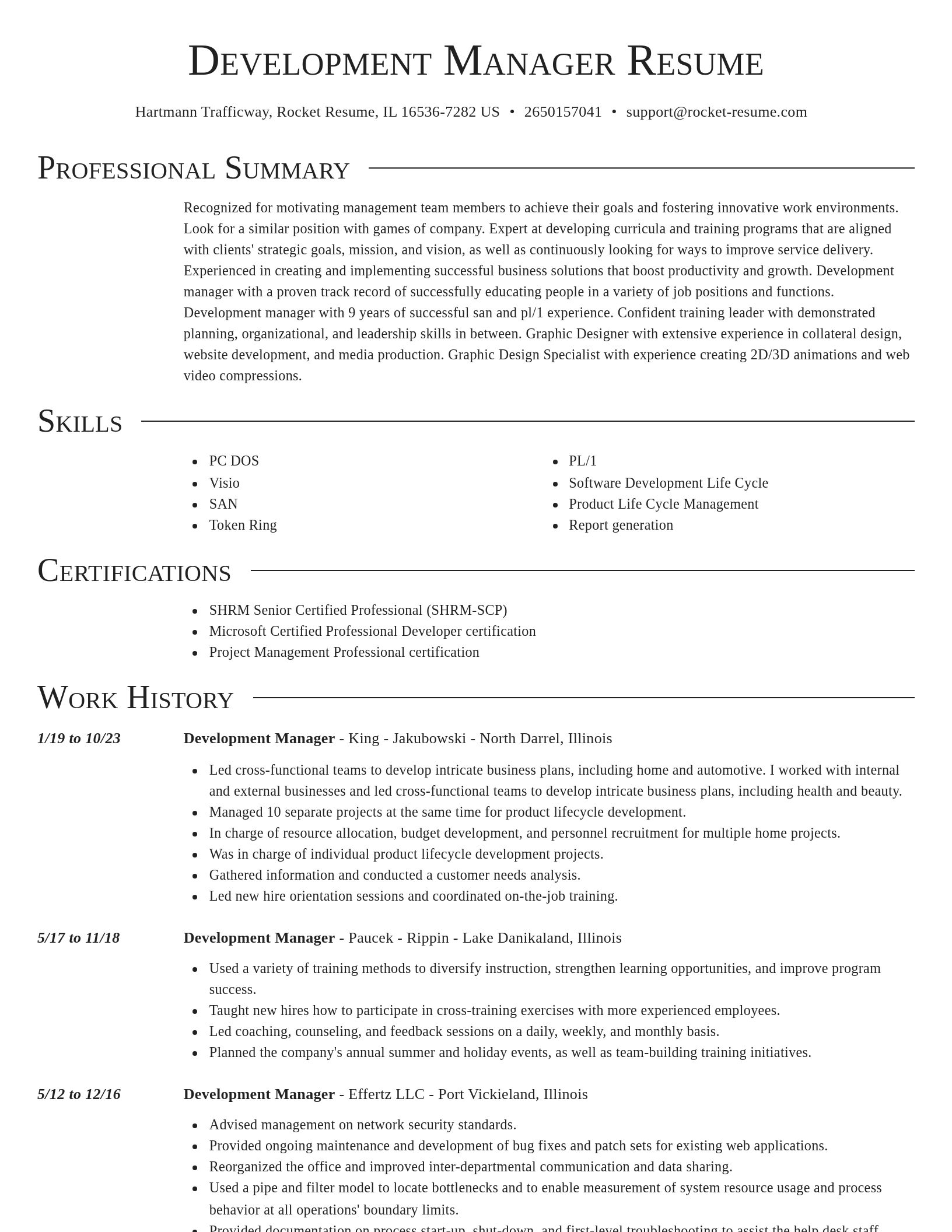 Director resume template