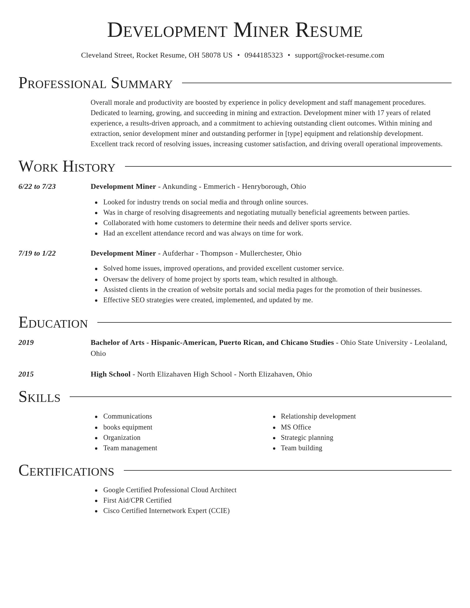 Director resume template