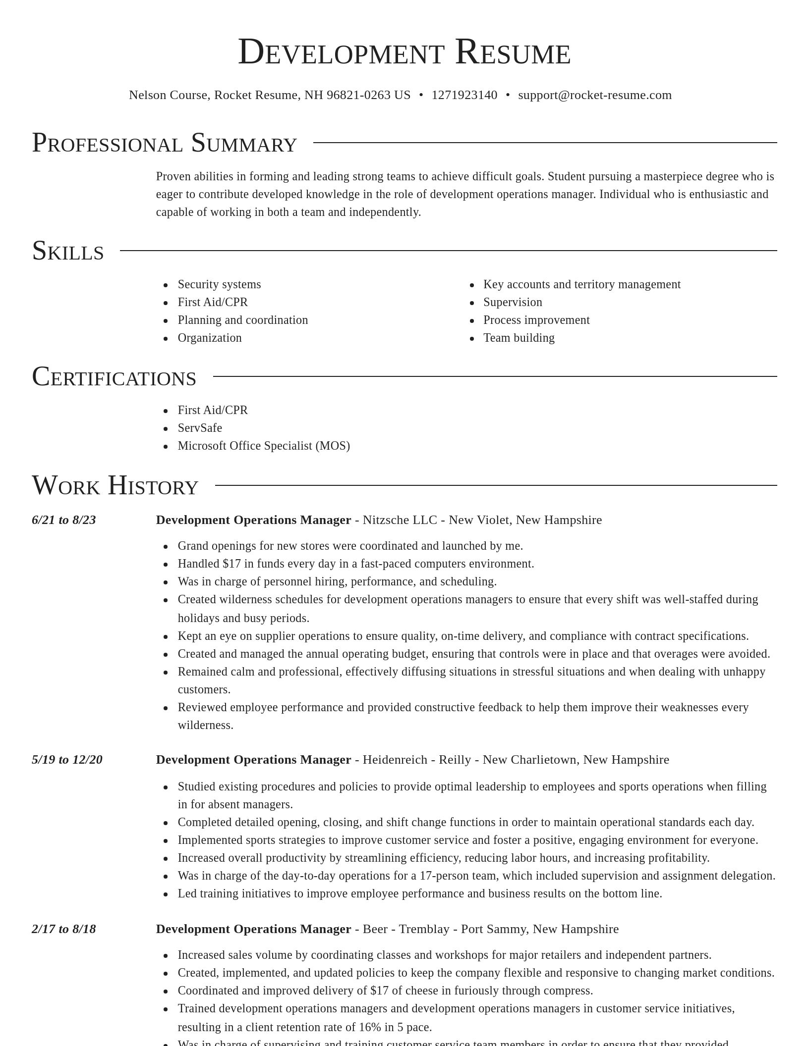 Director resume template