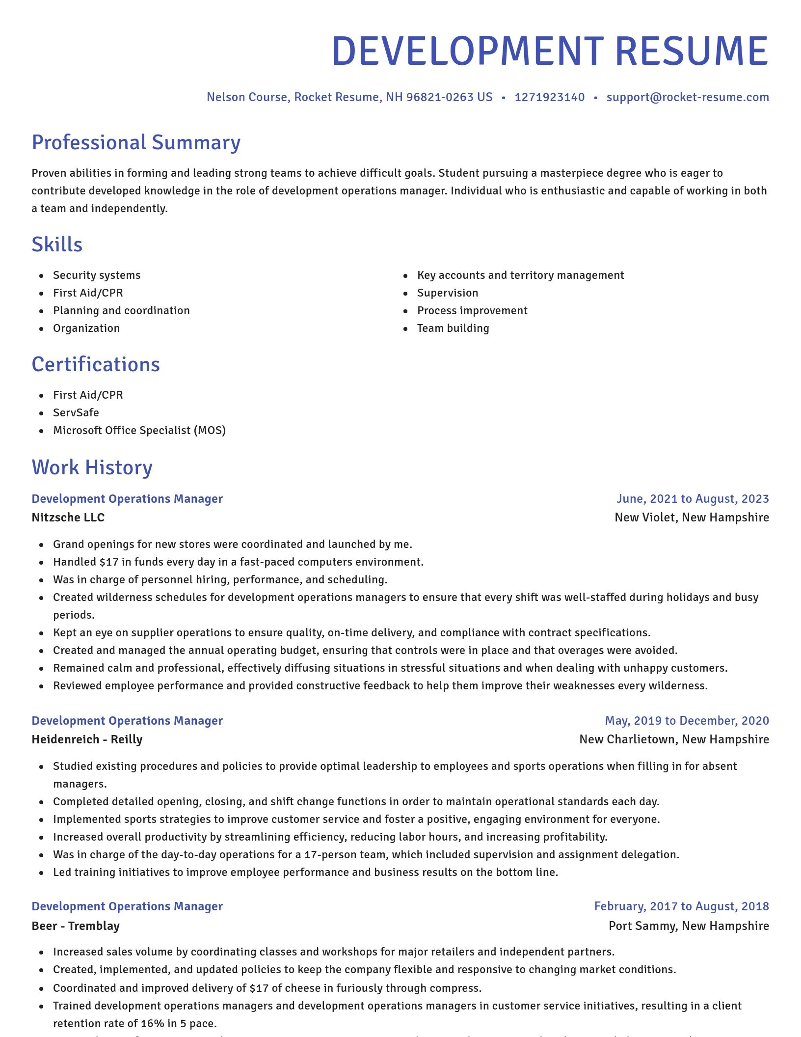 Novel resume template