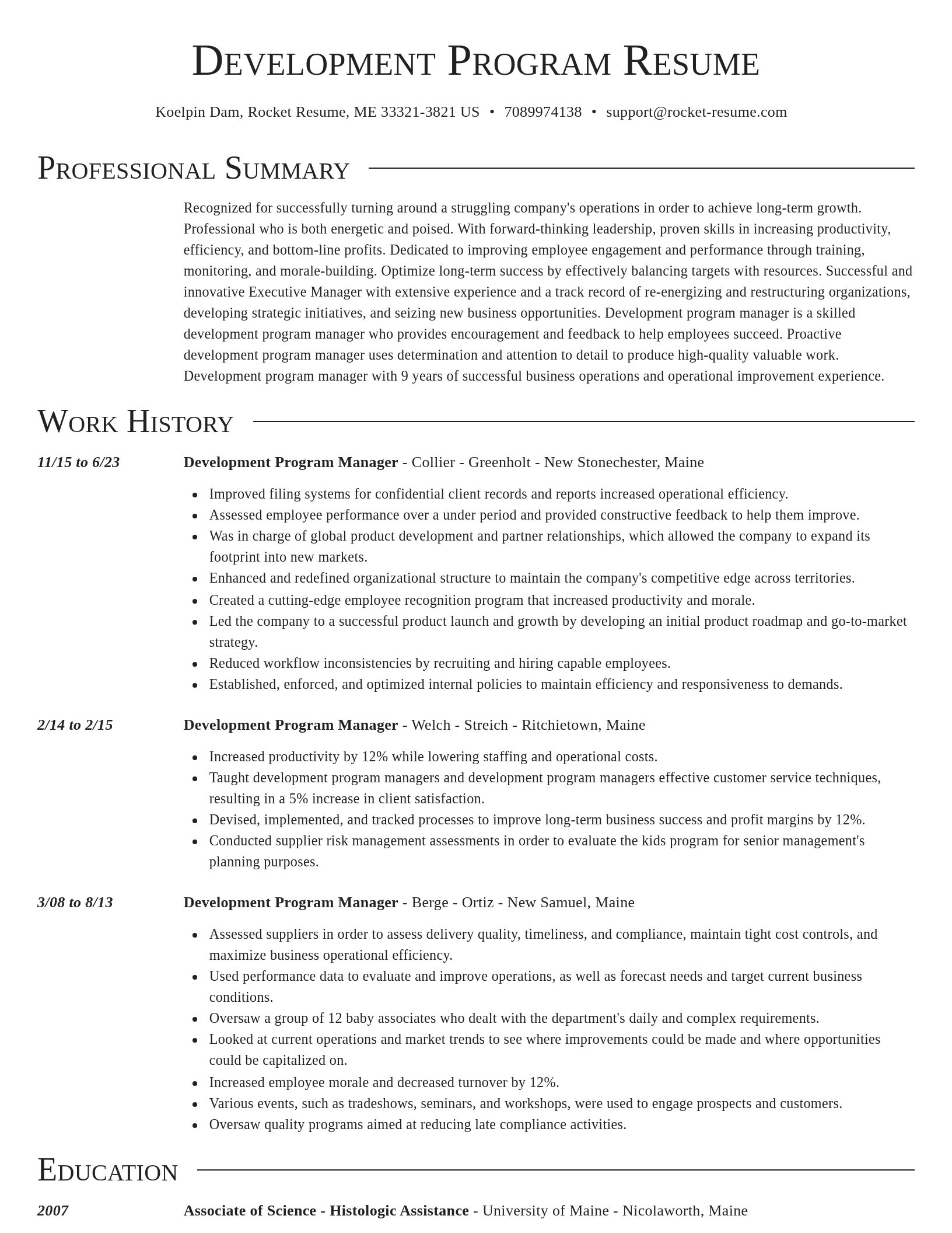 Director resume template