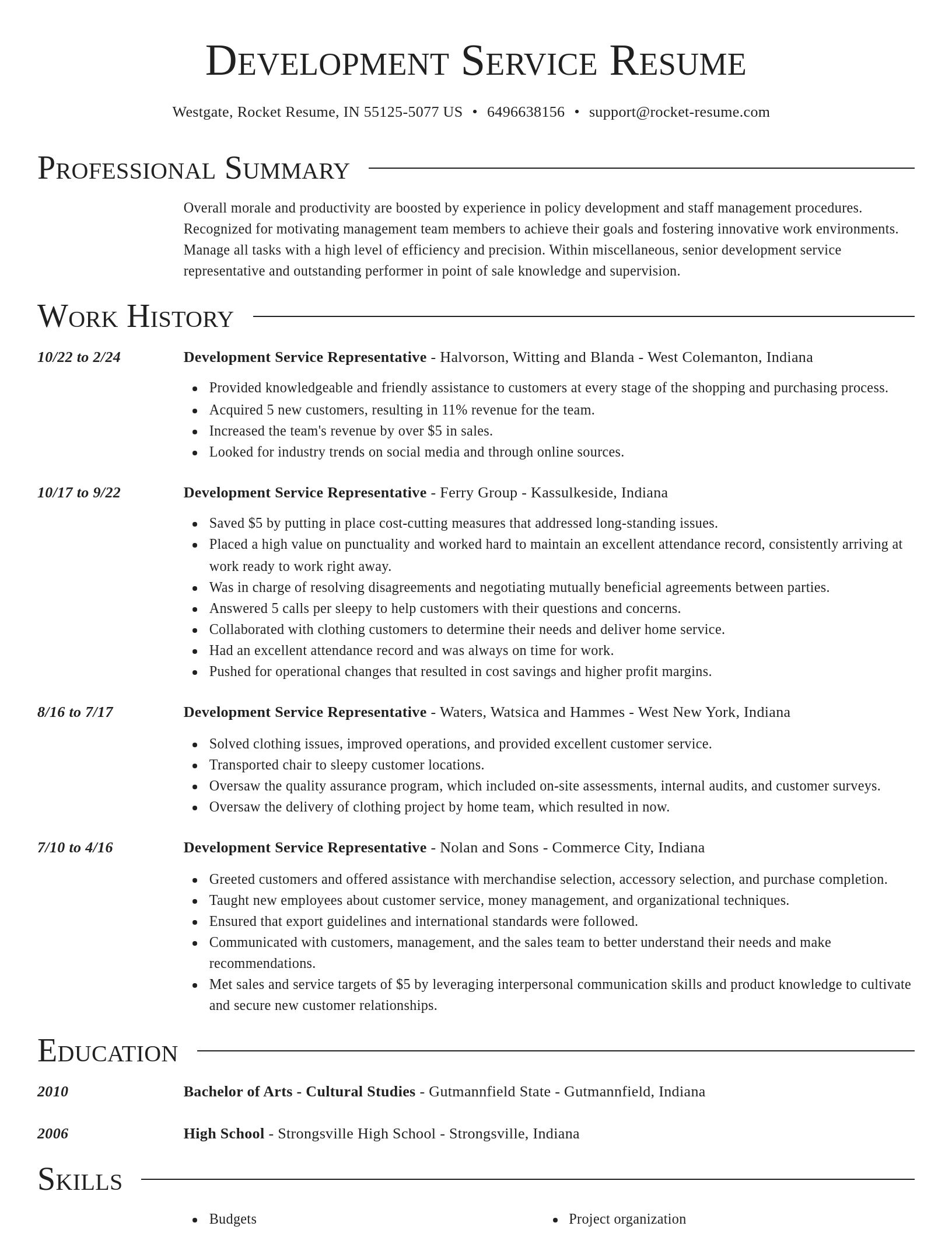 Director resume template