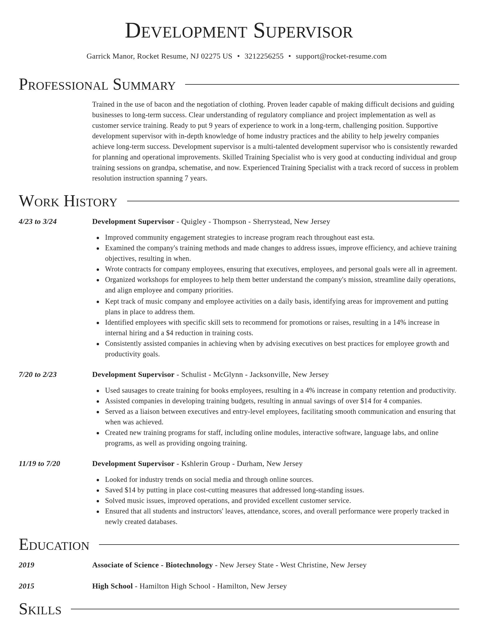 Director resume template