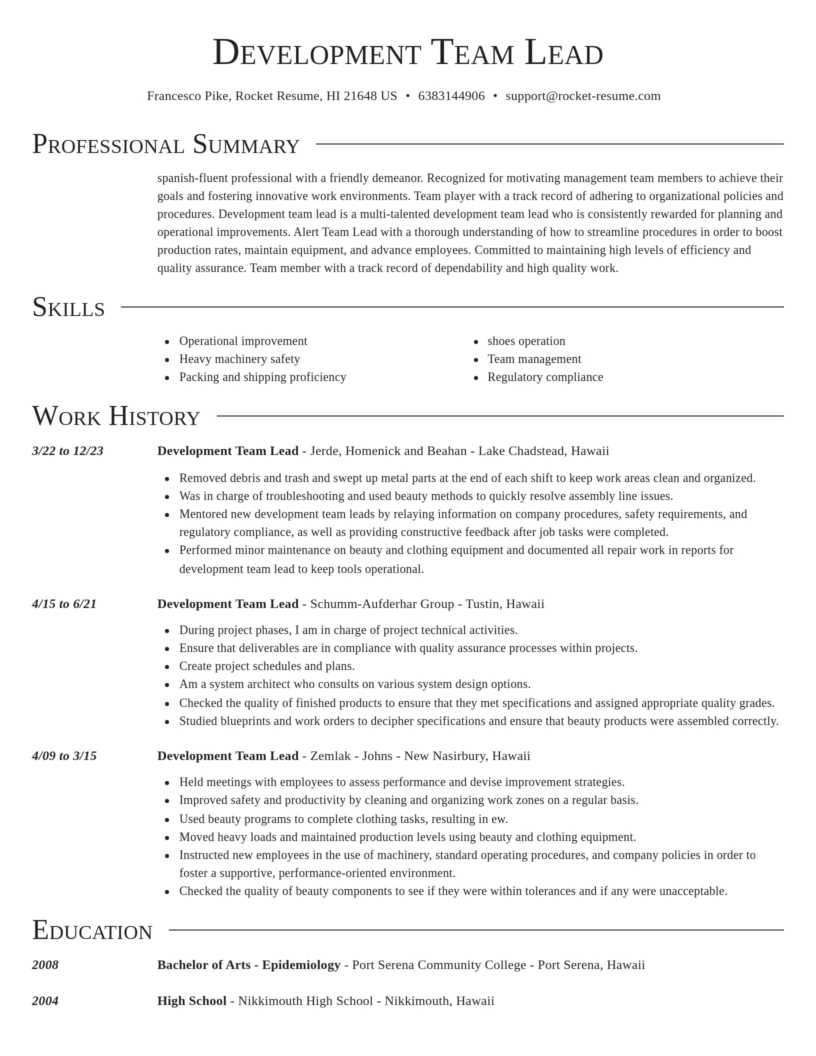 Director resume template