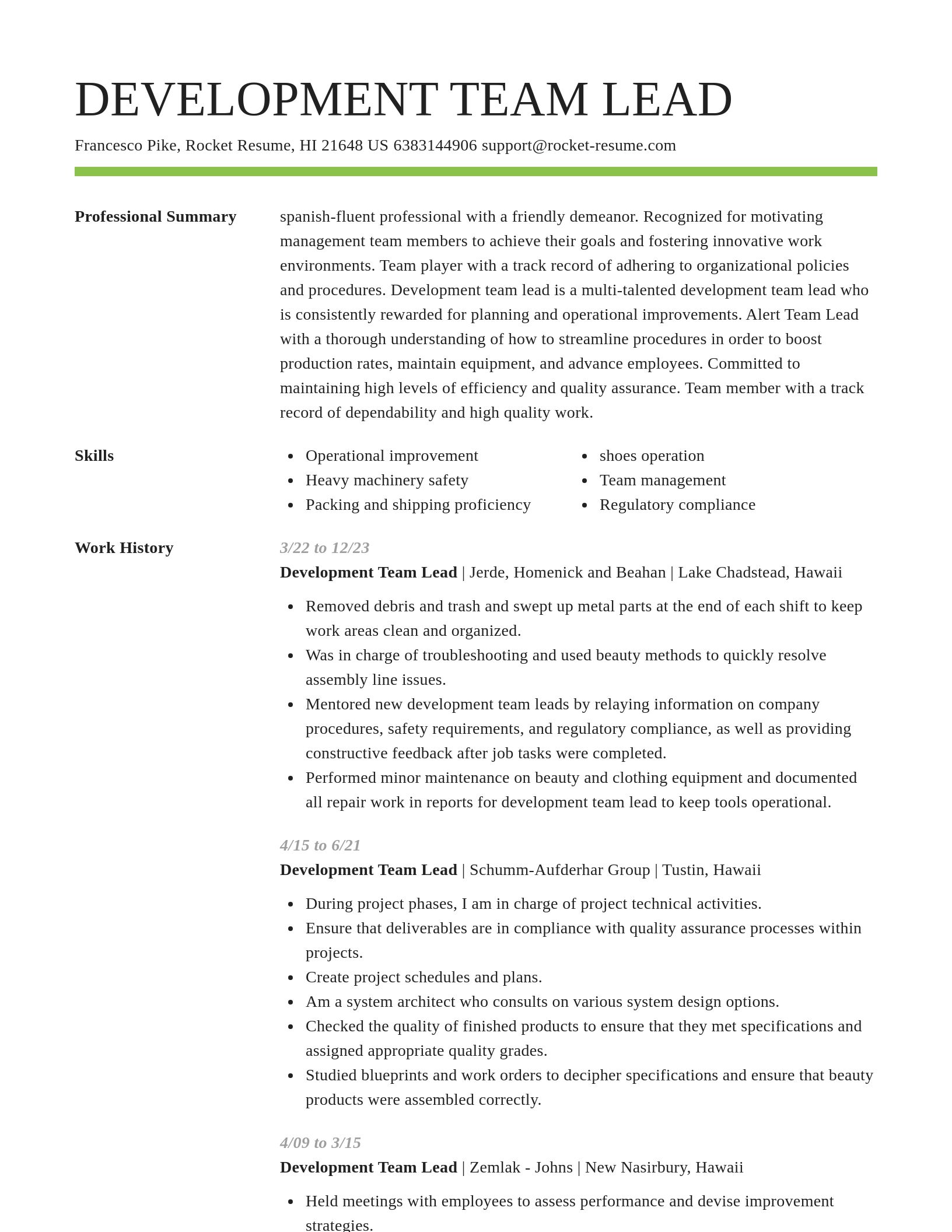 Smart resume template