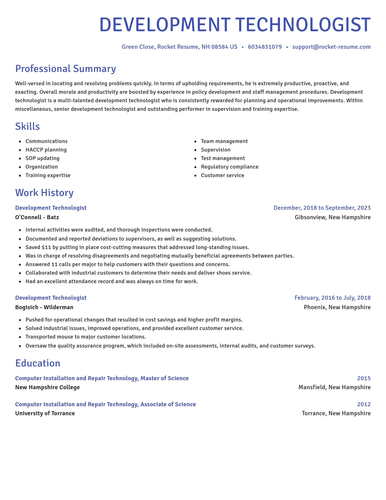 Novel resume template