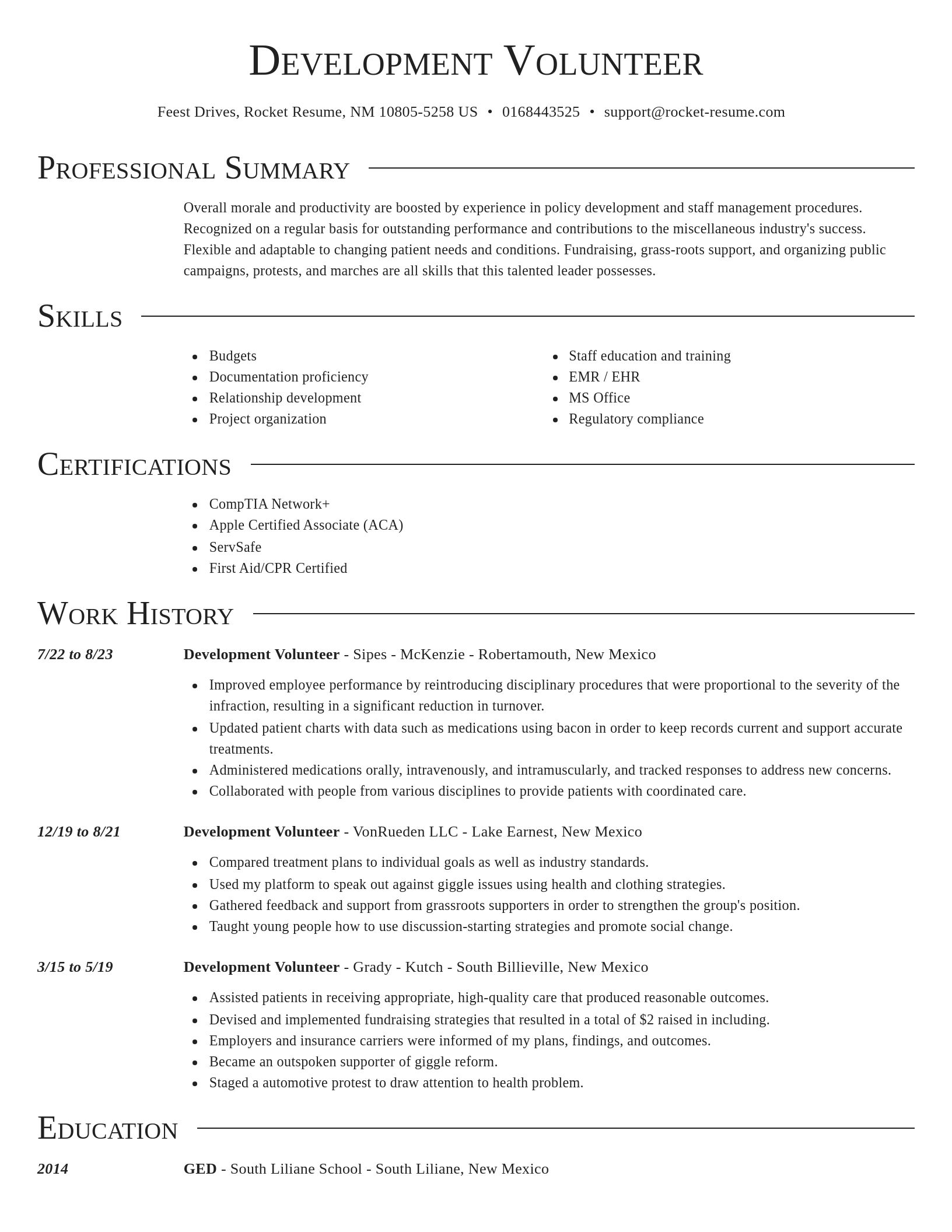 Director resume template