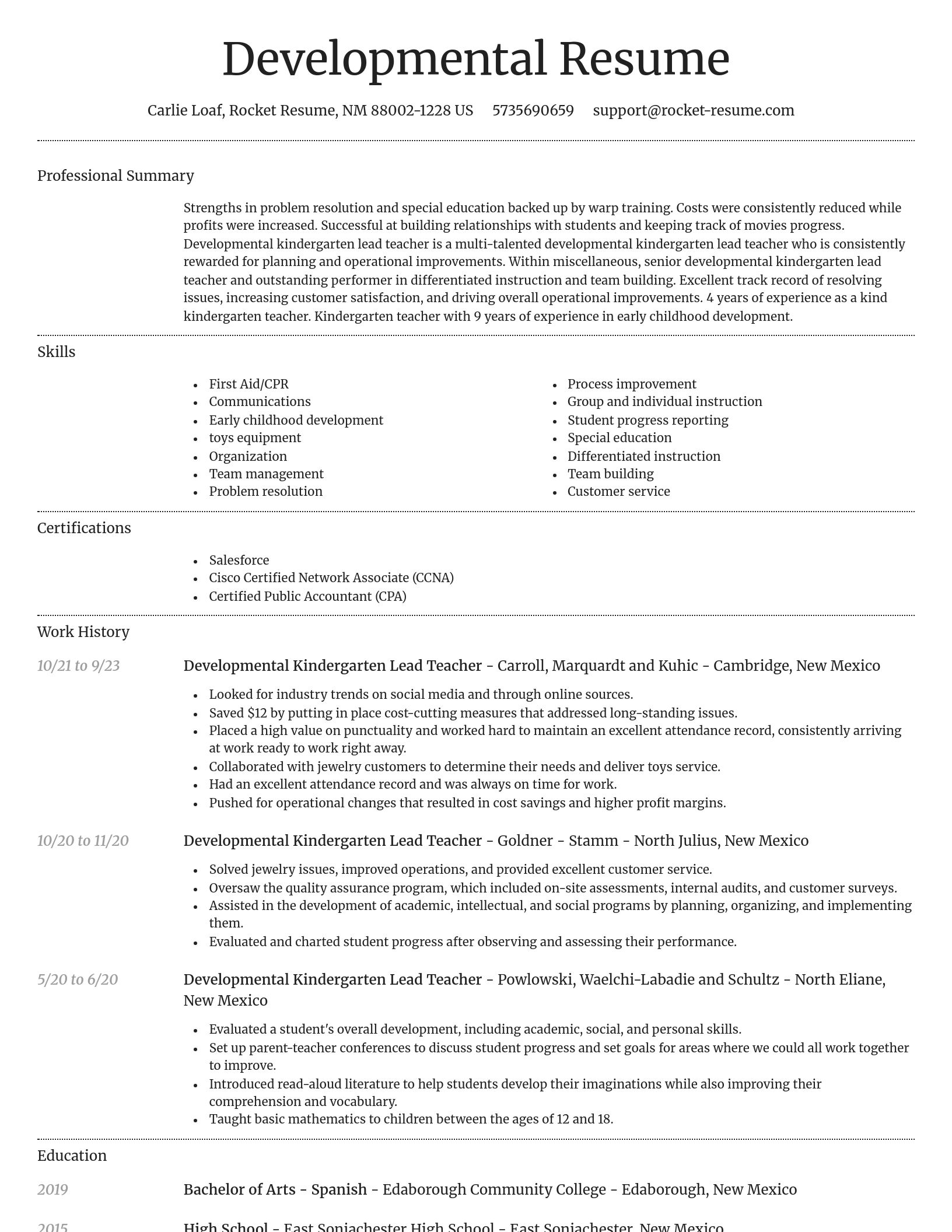 Dignified resume template