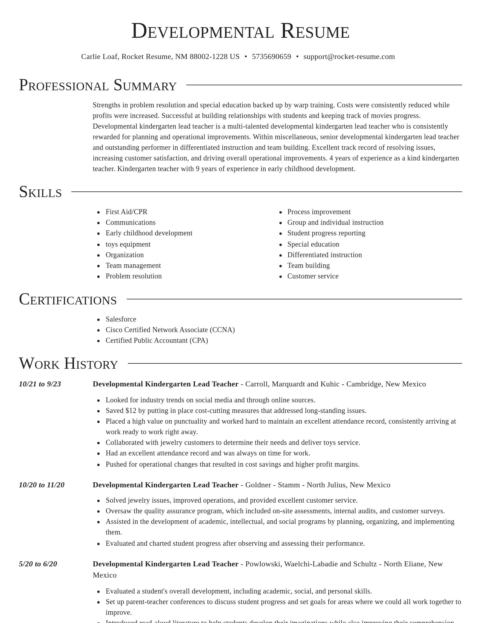 Director resume template